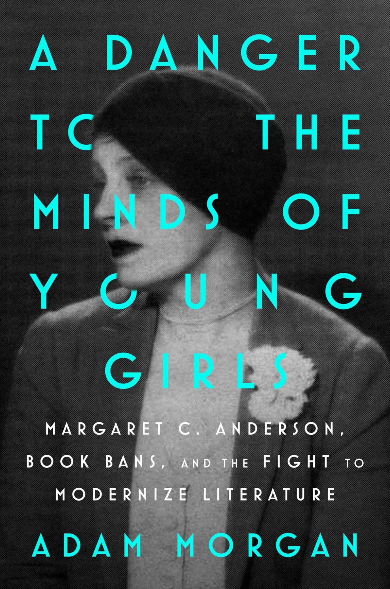 A Danger to the Minds of Young Girls Cover Image