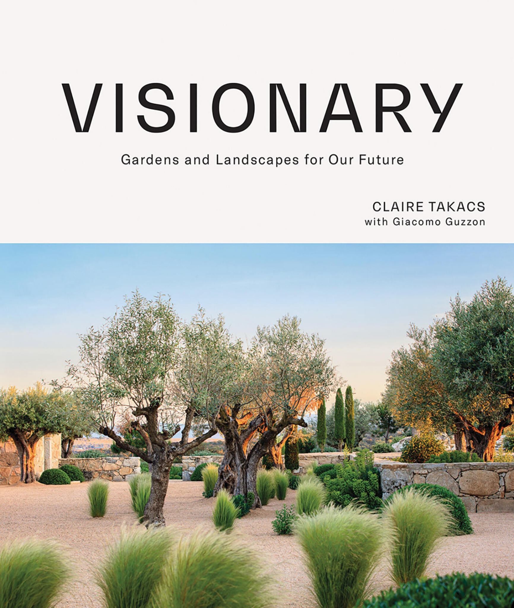 Visionary Cover Image