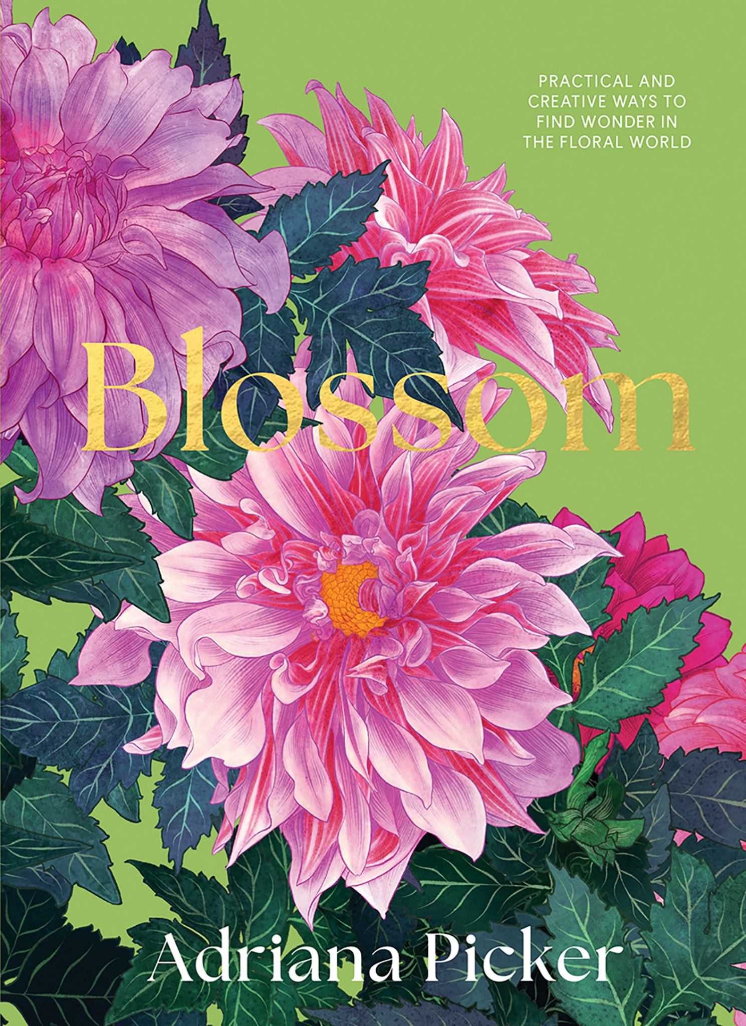 Blossom Cover Image