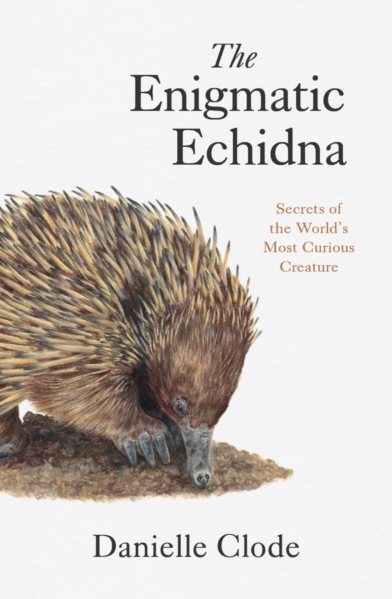The Enigmatic Echidna Cover Image