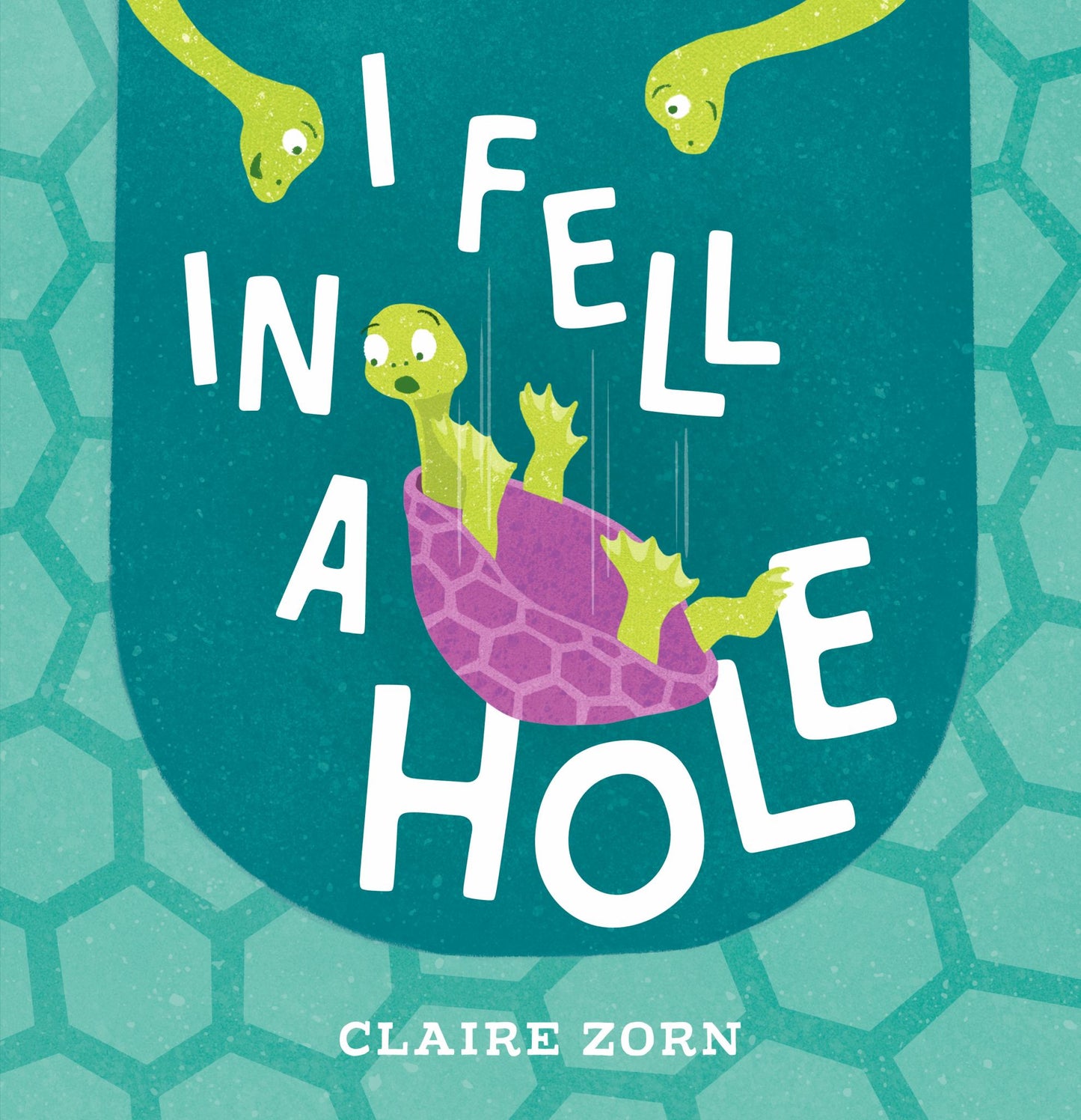 I Fell in a Hole Cover Image