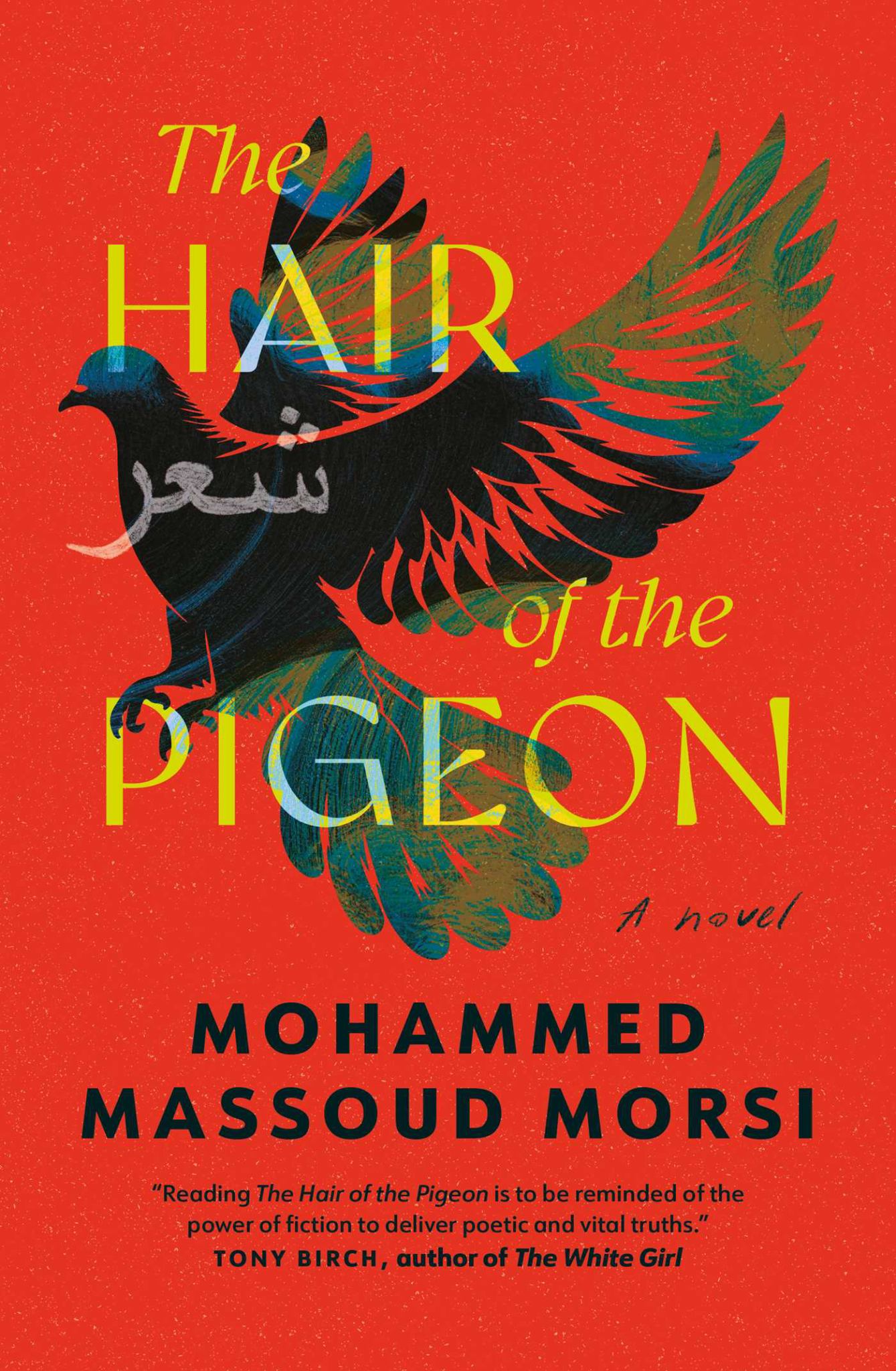 The Hair of the Pigeon Cover Image