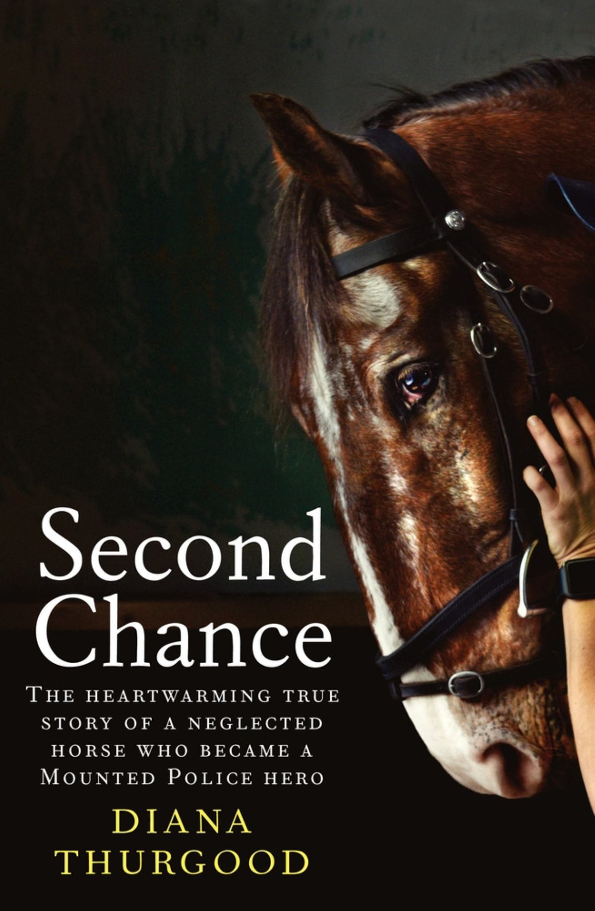 Second Chance Cover Image
