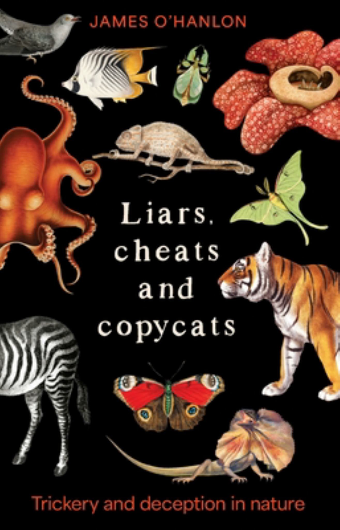 Liars, Cheats and Copycats Cover Image
