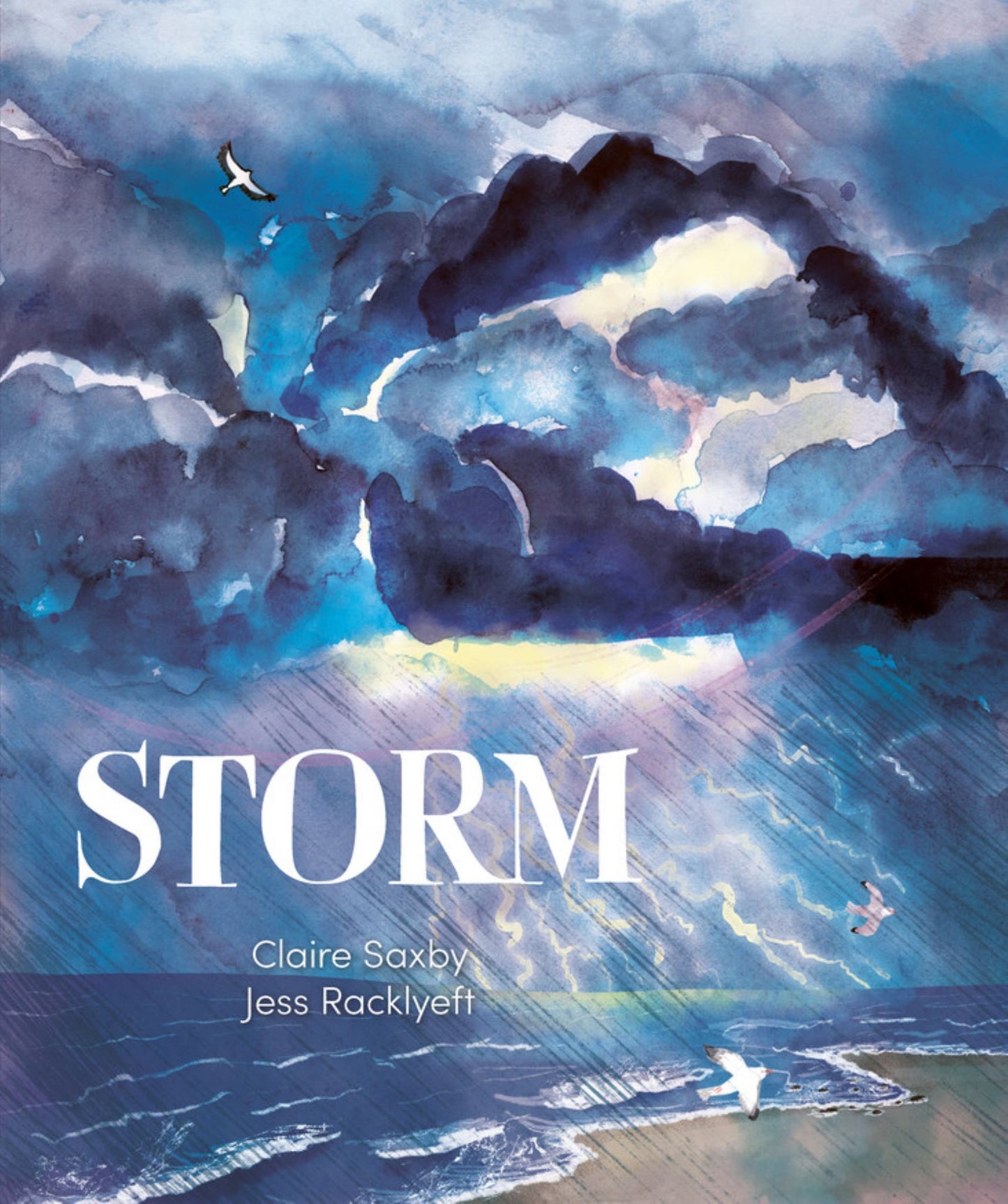 Storm Cover Image