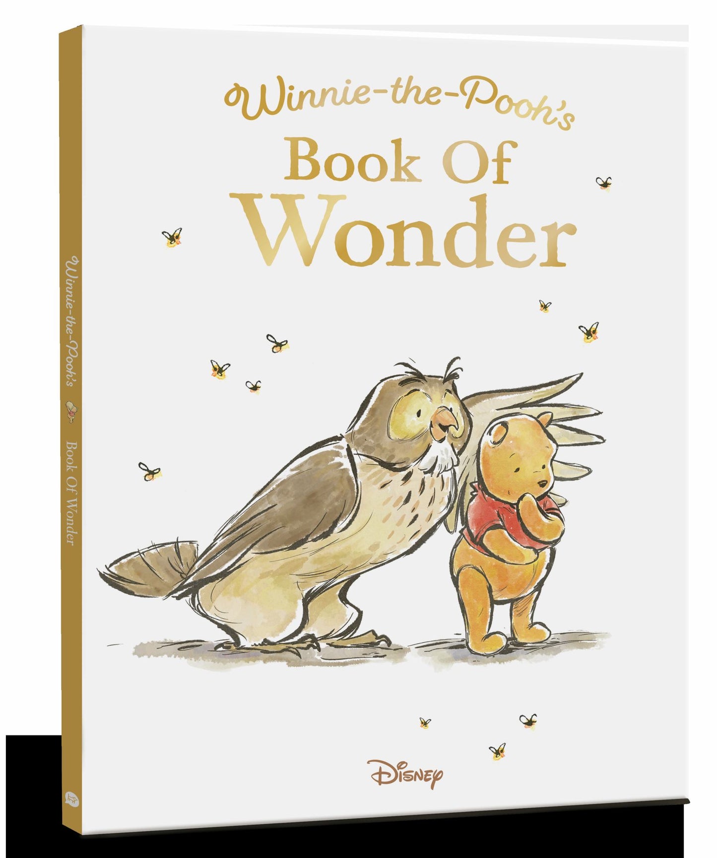 Winnie-The-Pooh's Book of Wonder Cover Image