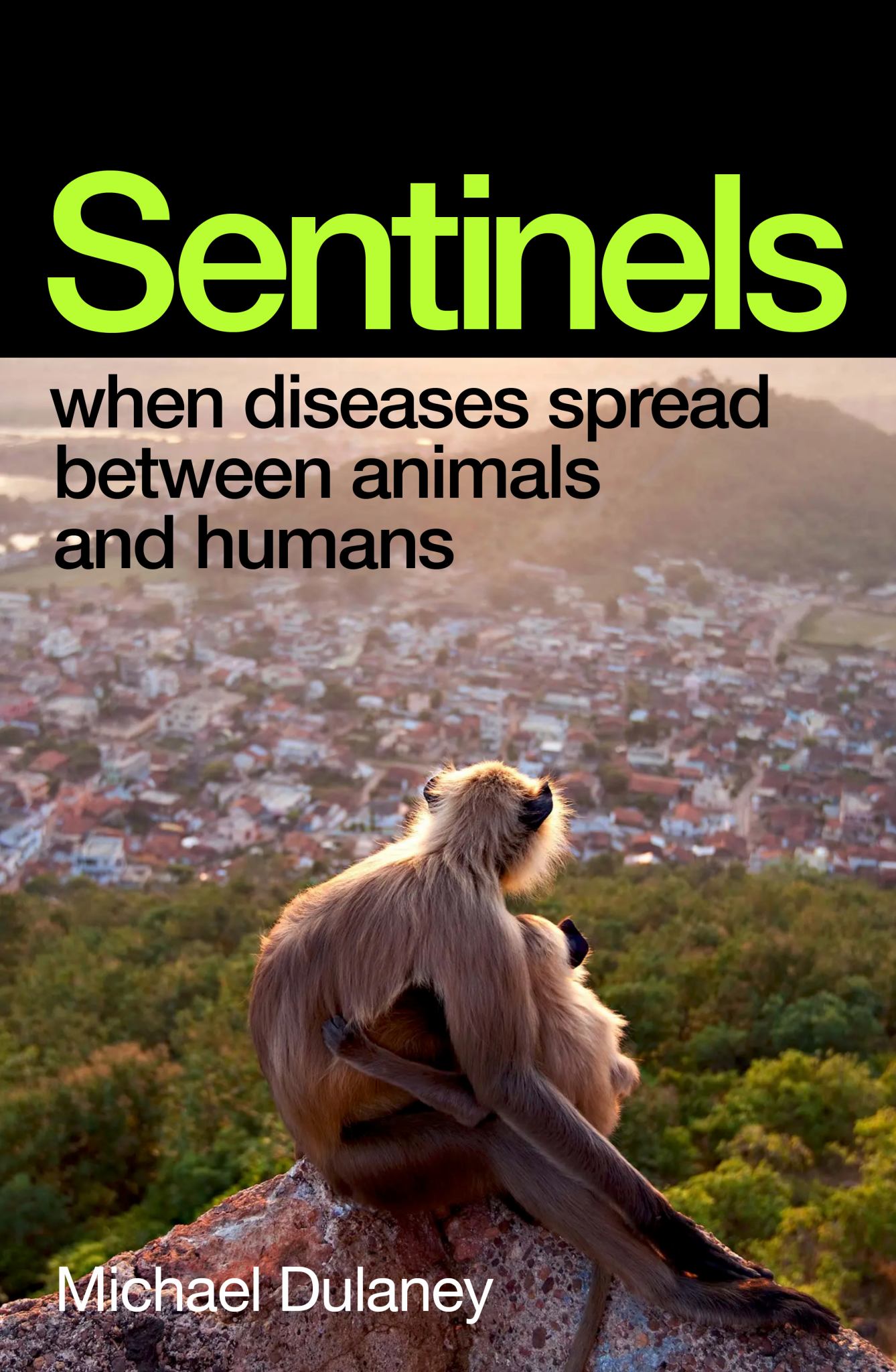 Sentinels Cover Image