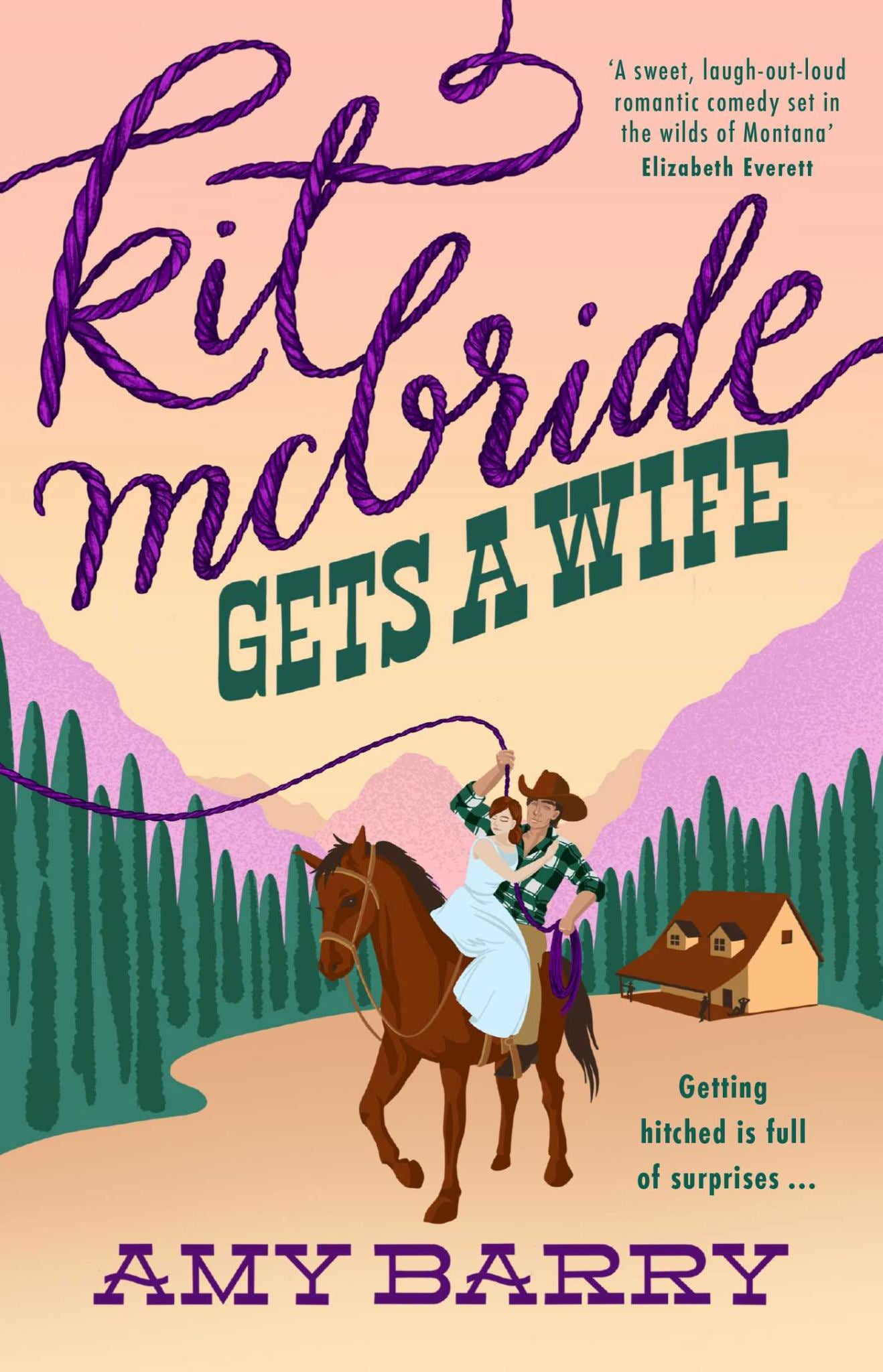Kit Mcbride Gets a Wife Cover Image