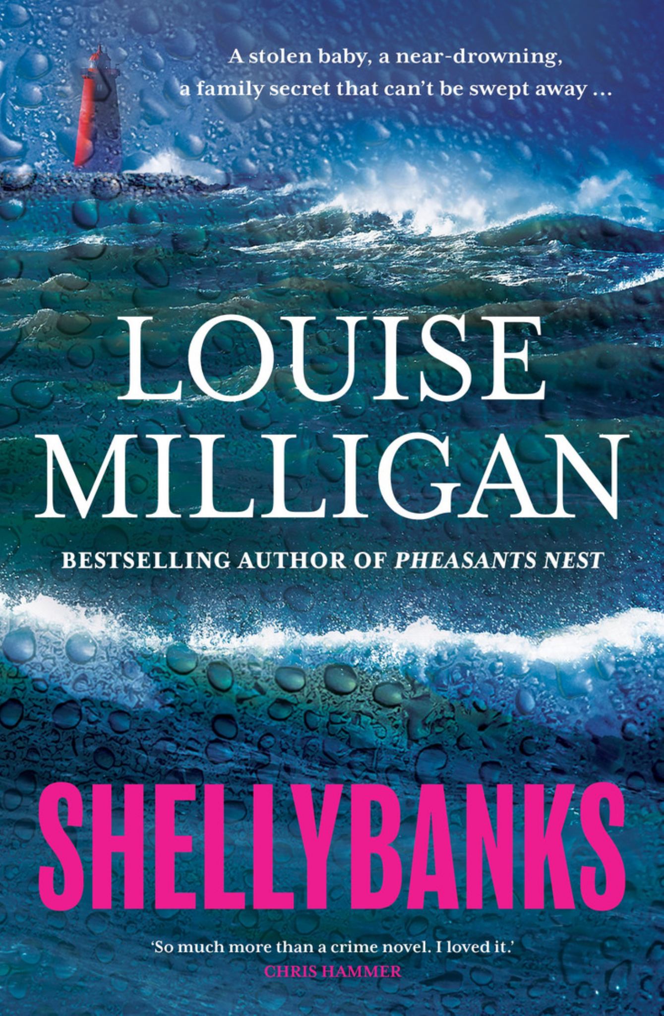 Shellybanks Cover Image