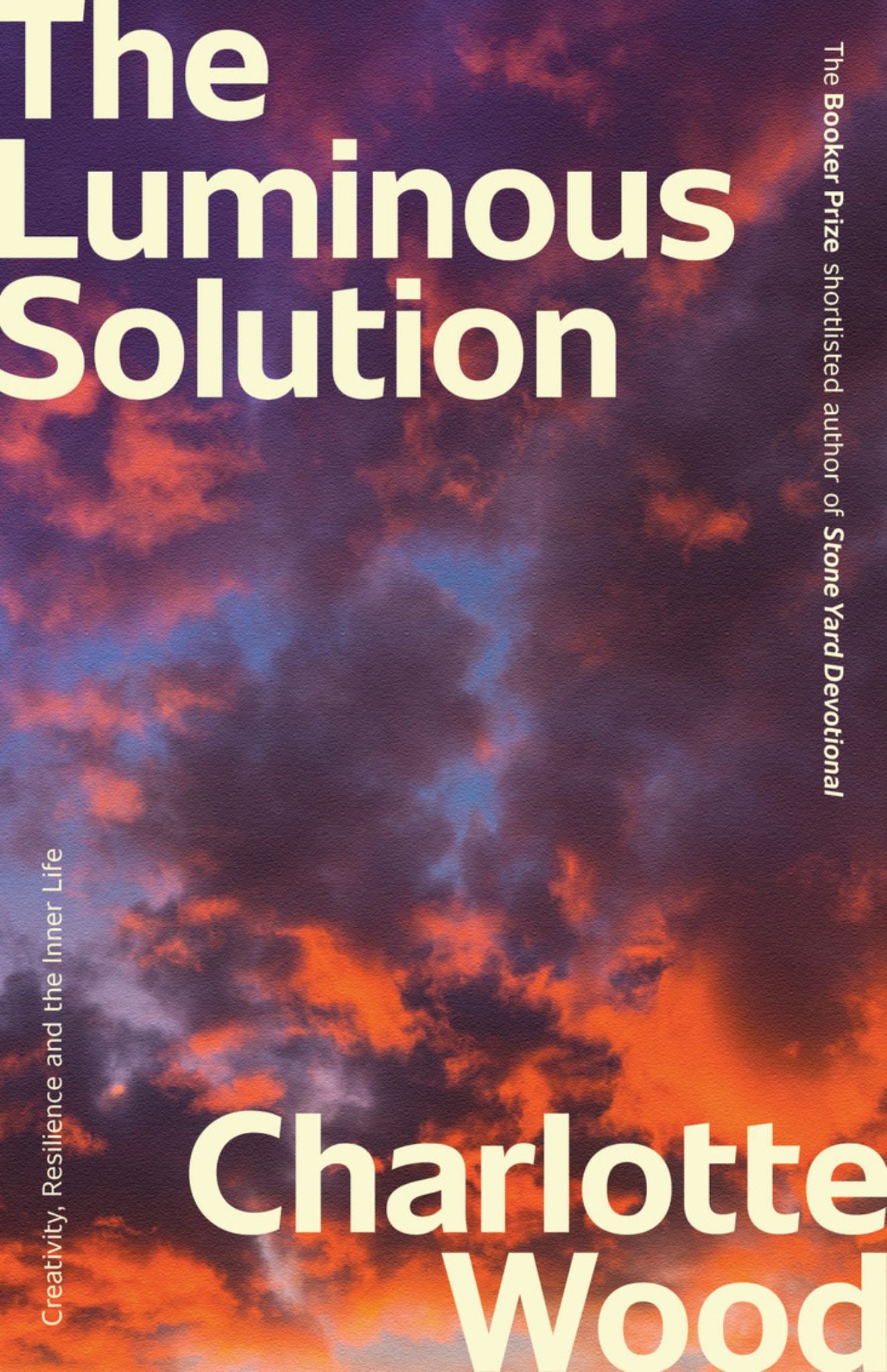 The Luminous Solution Cover Image