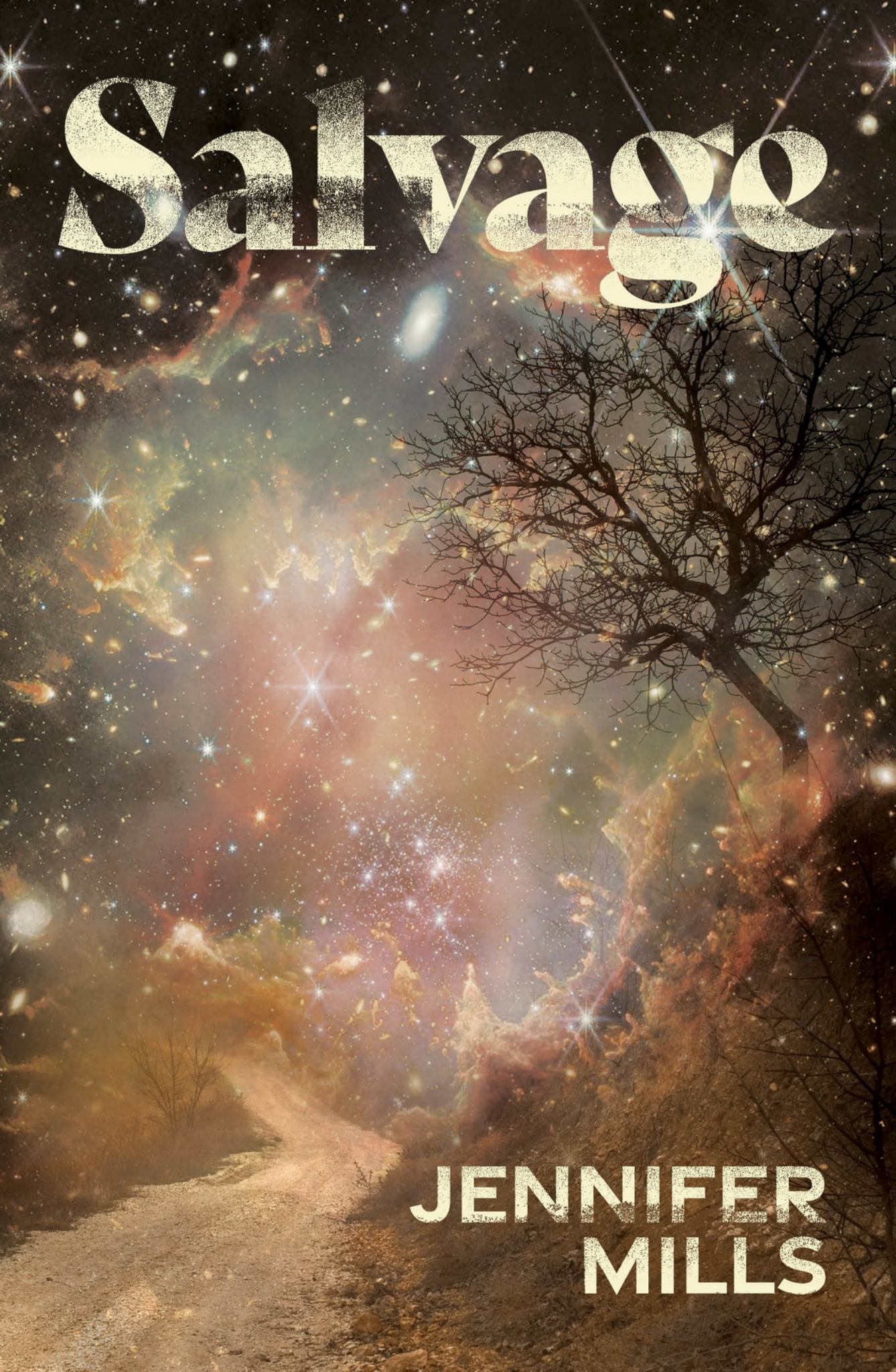 Salvage Cover Image