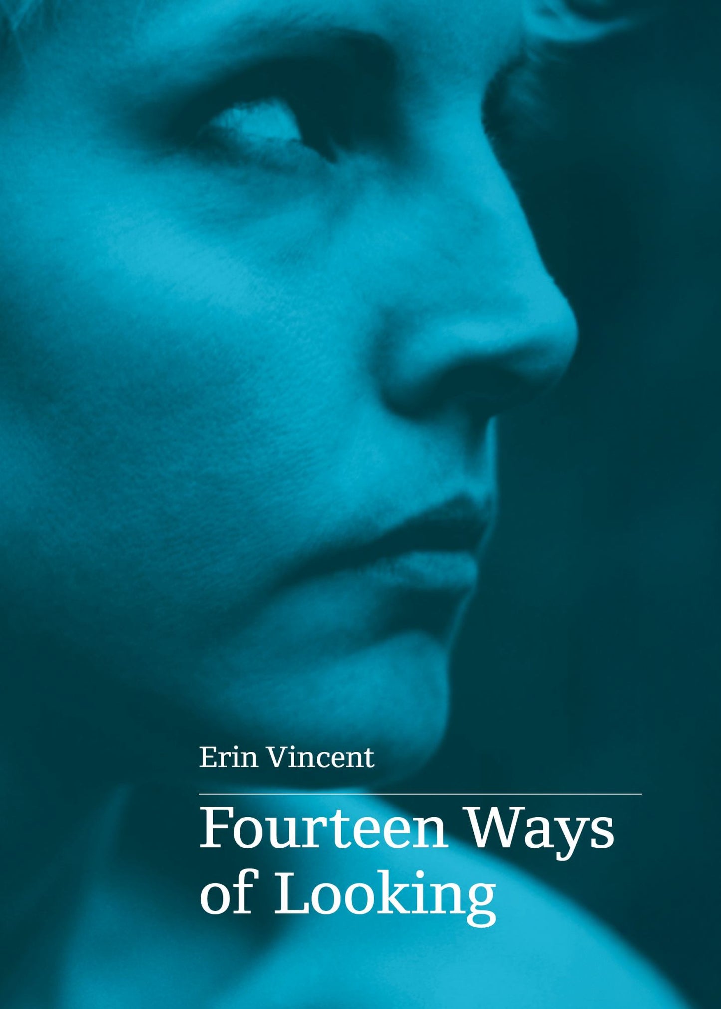 Fourteen Ways of Looking Cover Image