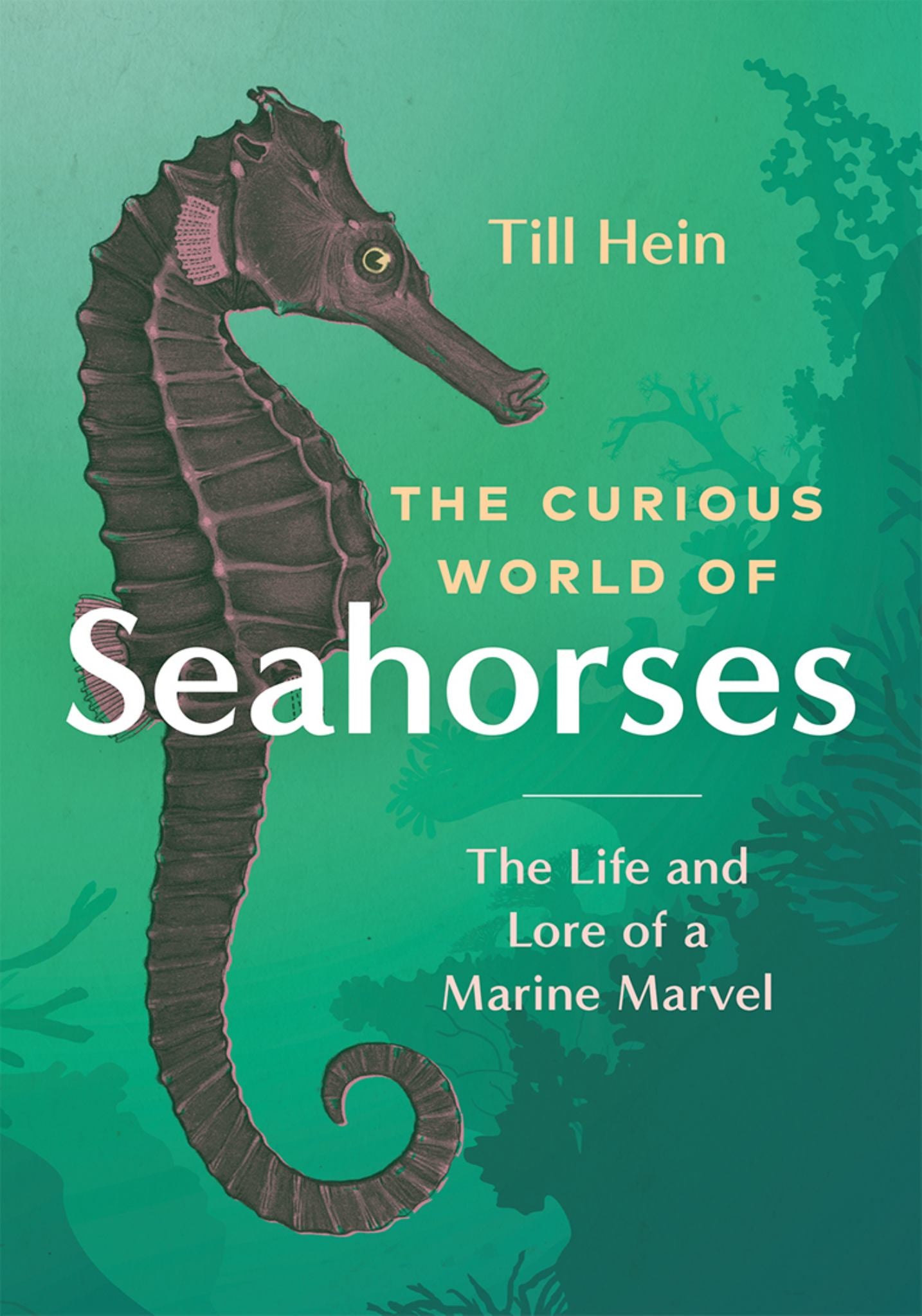 The Curious World of Seahorses Cover Image