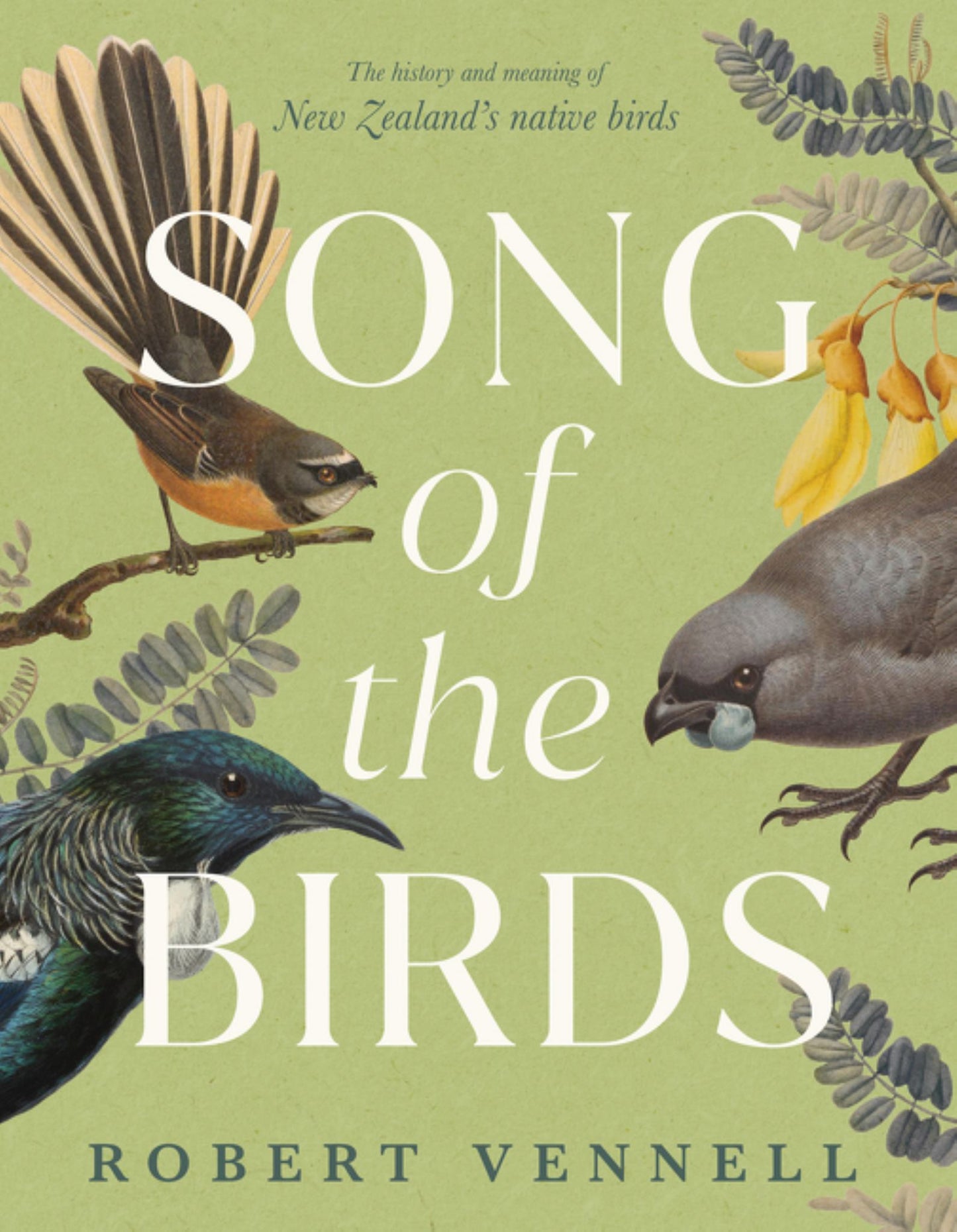 Song of the Birds: the History and Meaning of New Zealand's Native Birds, by the Bestselling Author of the Meaning of Trees Cover Image