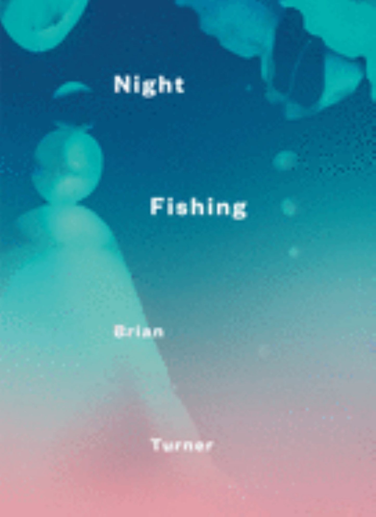 Night Fishing Cover Image