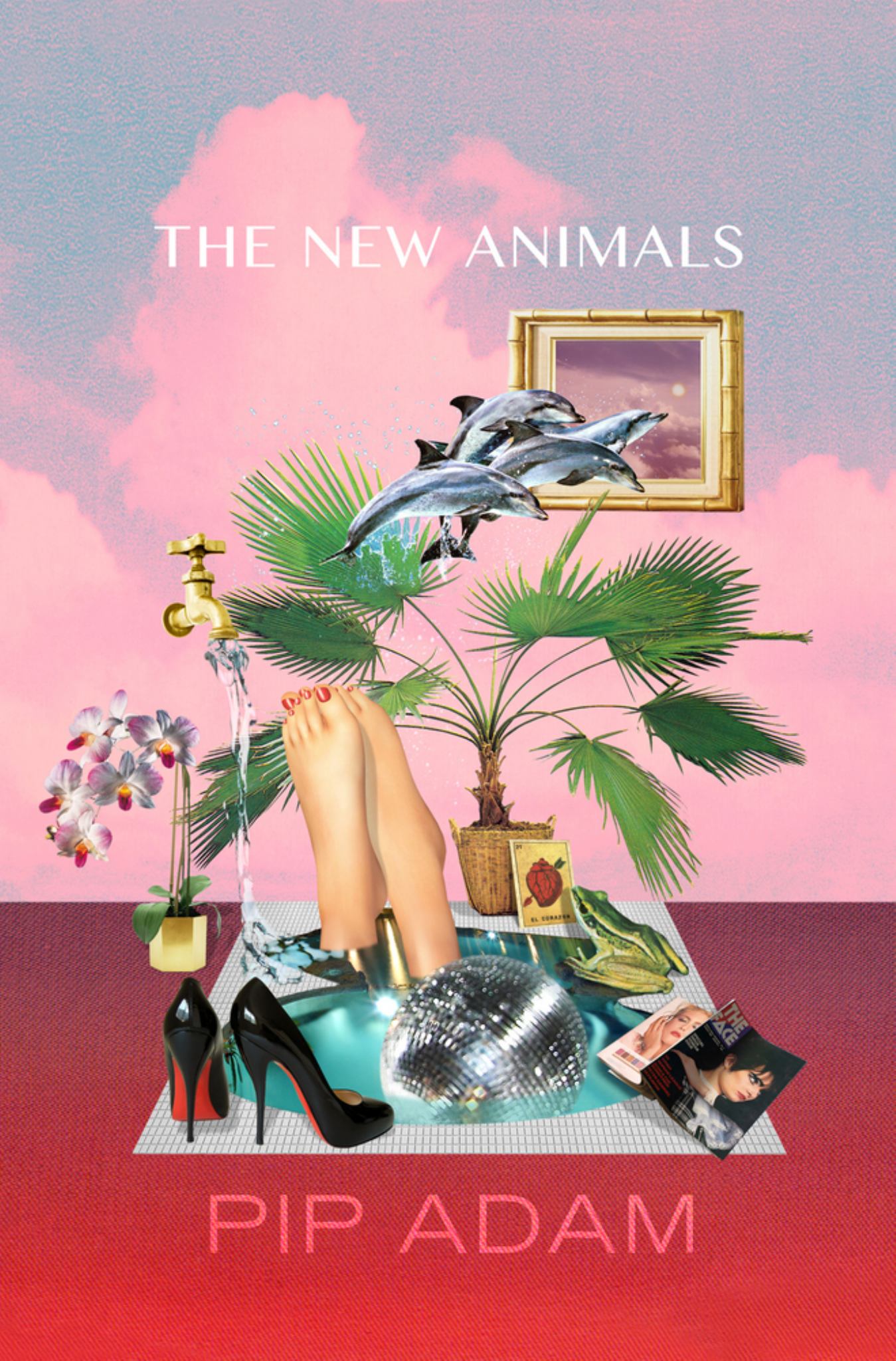 New Animals Cover Image