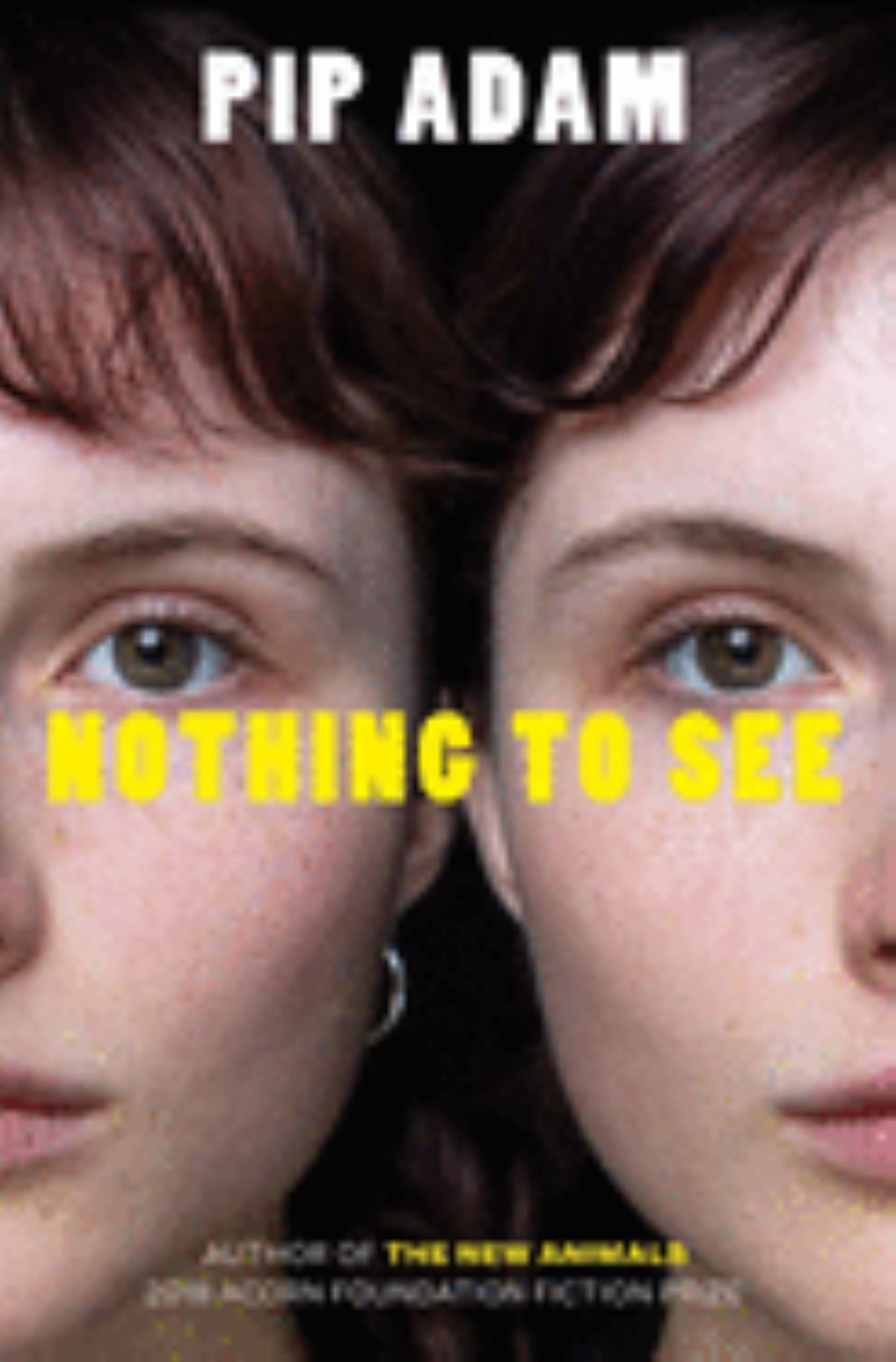 Nothing to See Cover Image