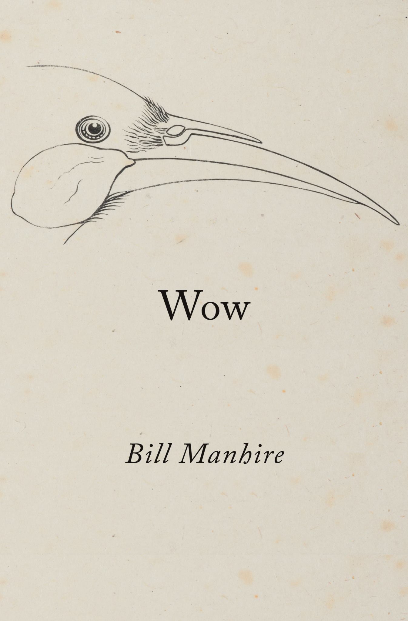 Wow Cover Image