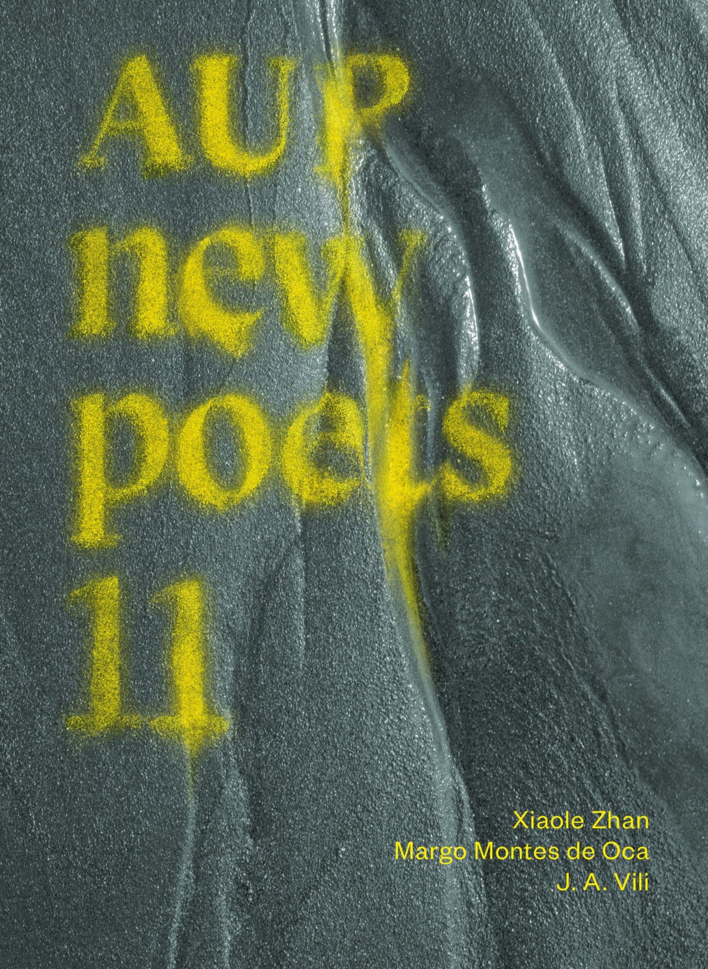 AUP New Poets 11 Cover Image