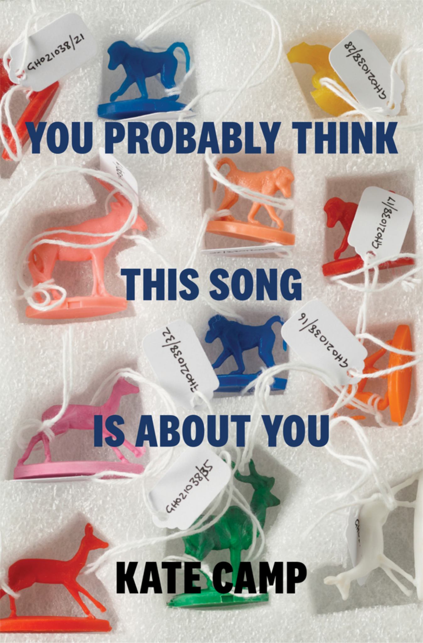 You Probably Think This Song Is about You Cover Image
