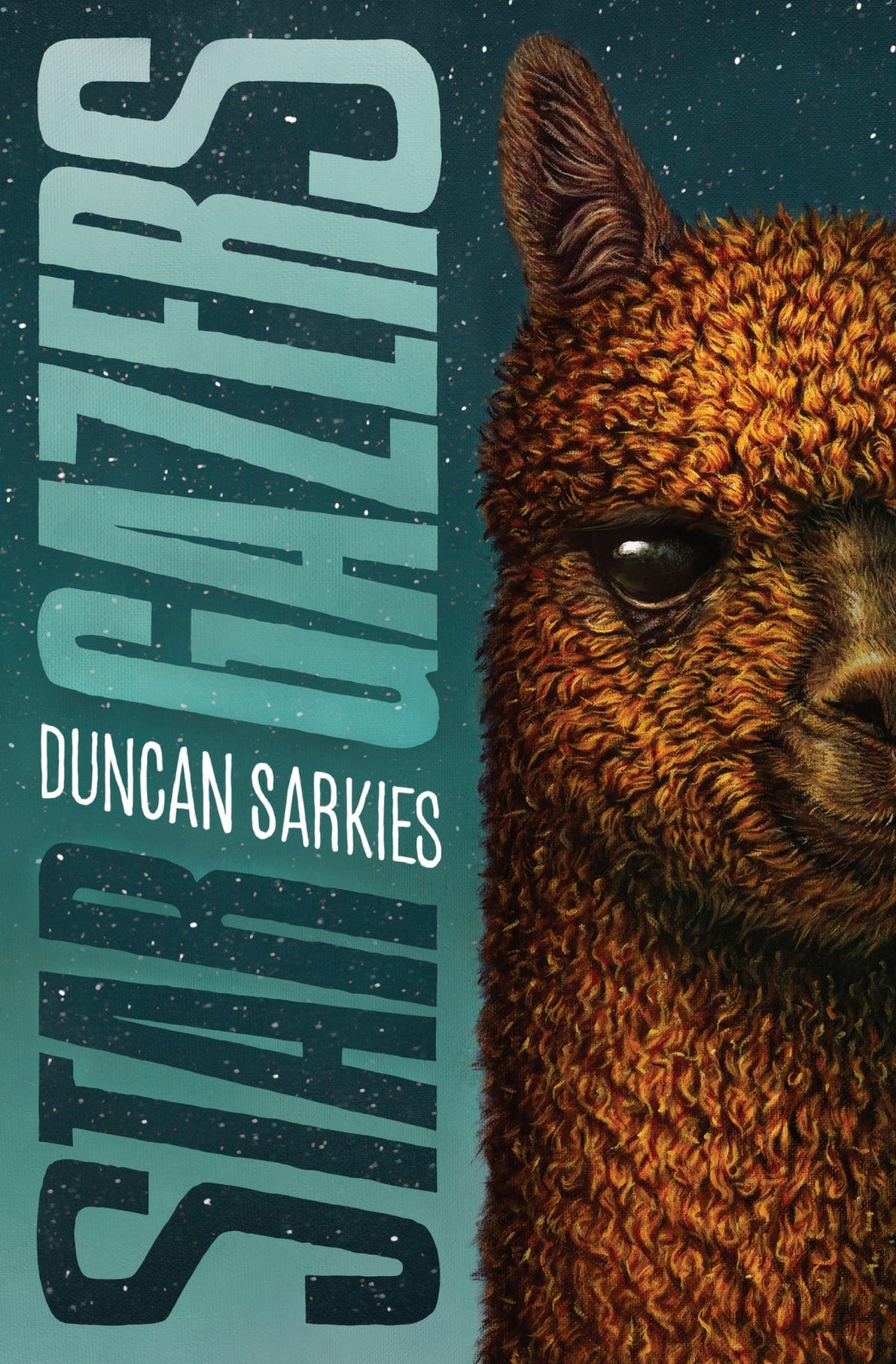 Star Gazers Cover Image