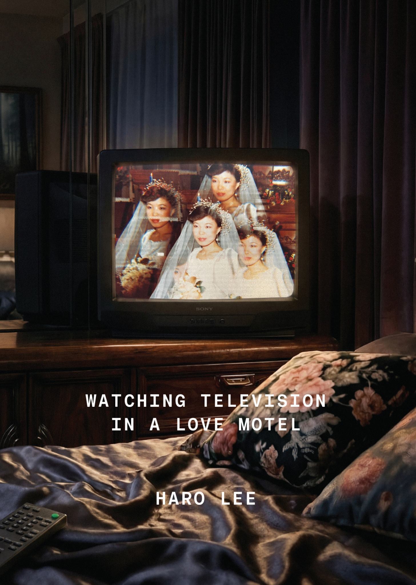 Watching Television in a Love Motel Cover Image