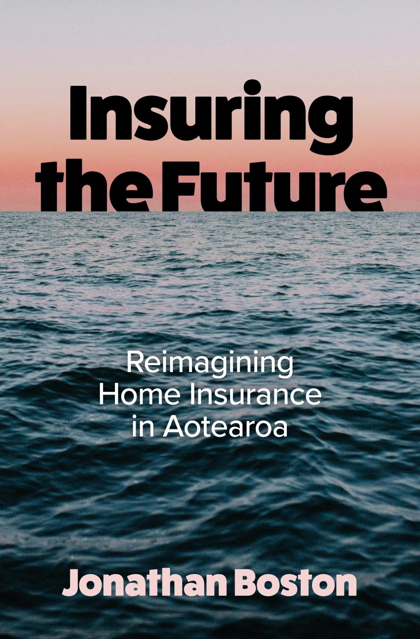Insuring the Future Cover Image