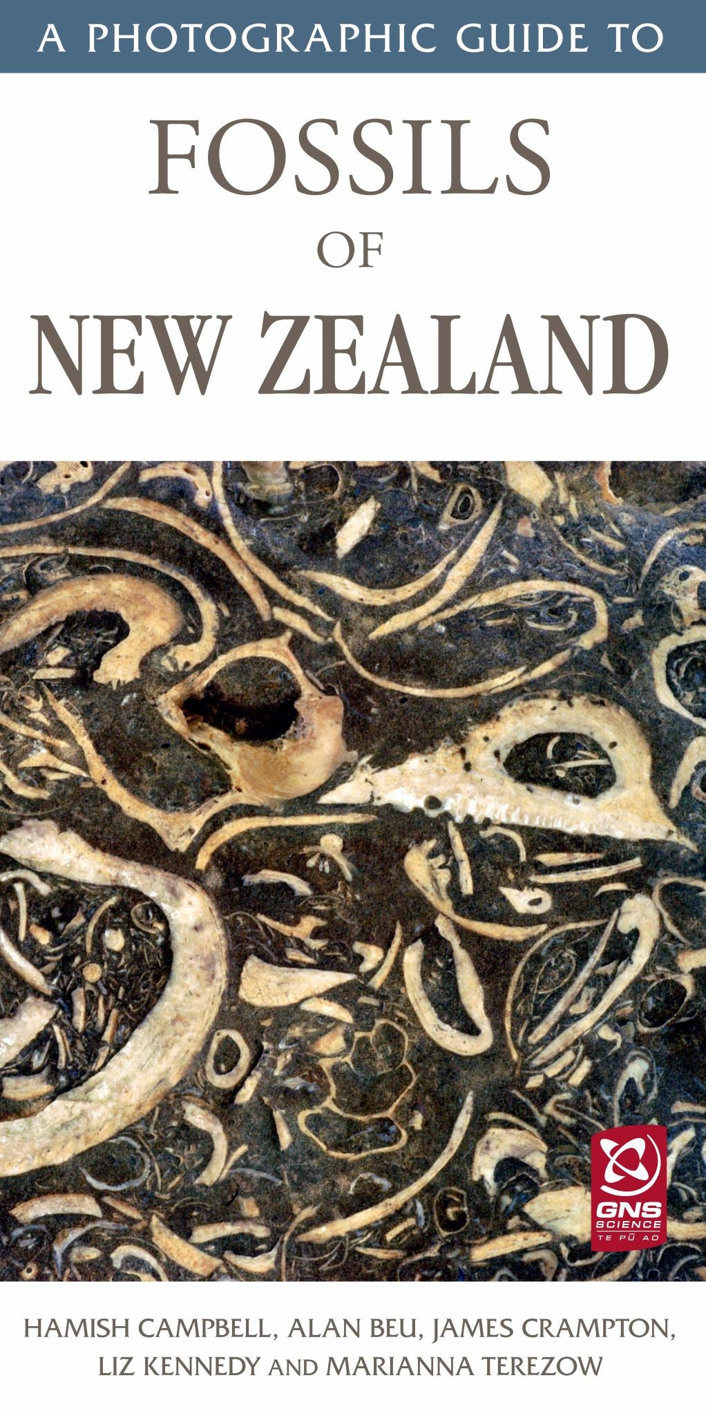 A Photographic Guide to Fossils of New Zealand Cover Image
