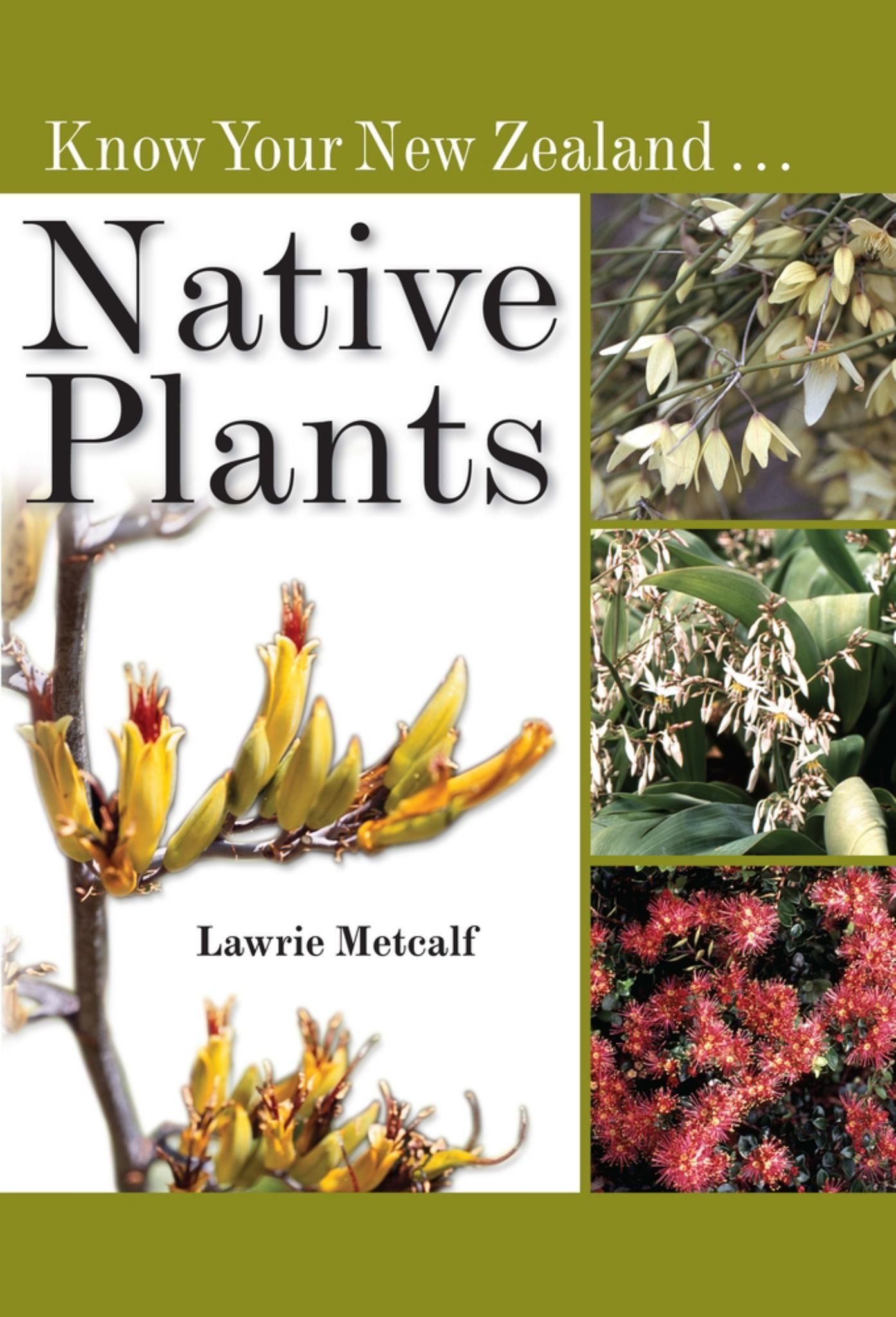 Know Your New Zealand Native Plants Cover Image