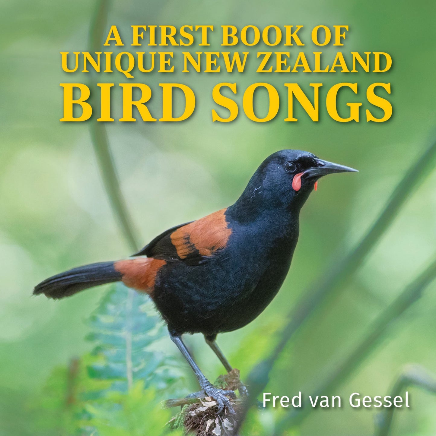 A First Book of Unique New Zealand Bird Songs Cover Image