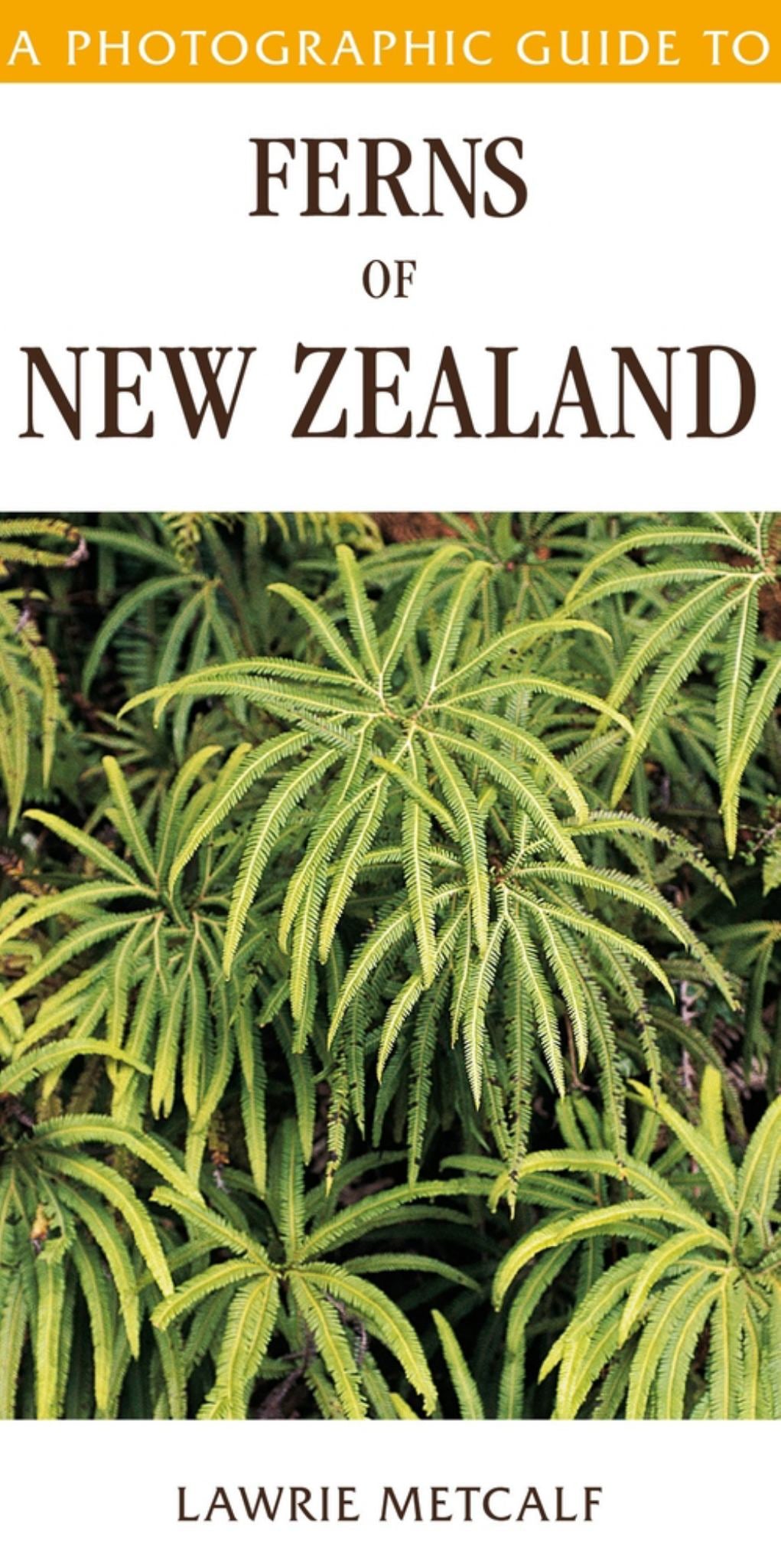 A Photographic Guide to Ferns of New Zealand Cover Image