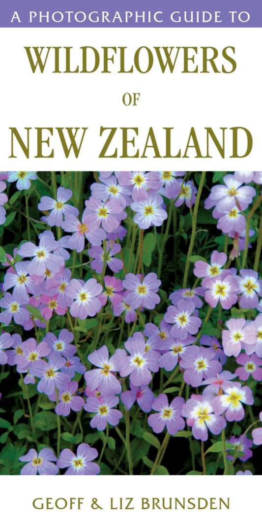 A Photographic Guide to Wildflowers of New Zealand Cover Image