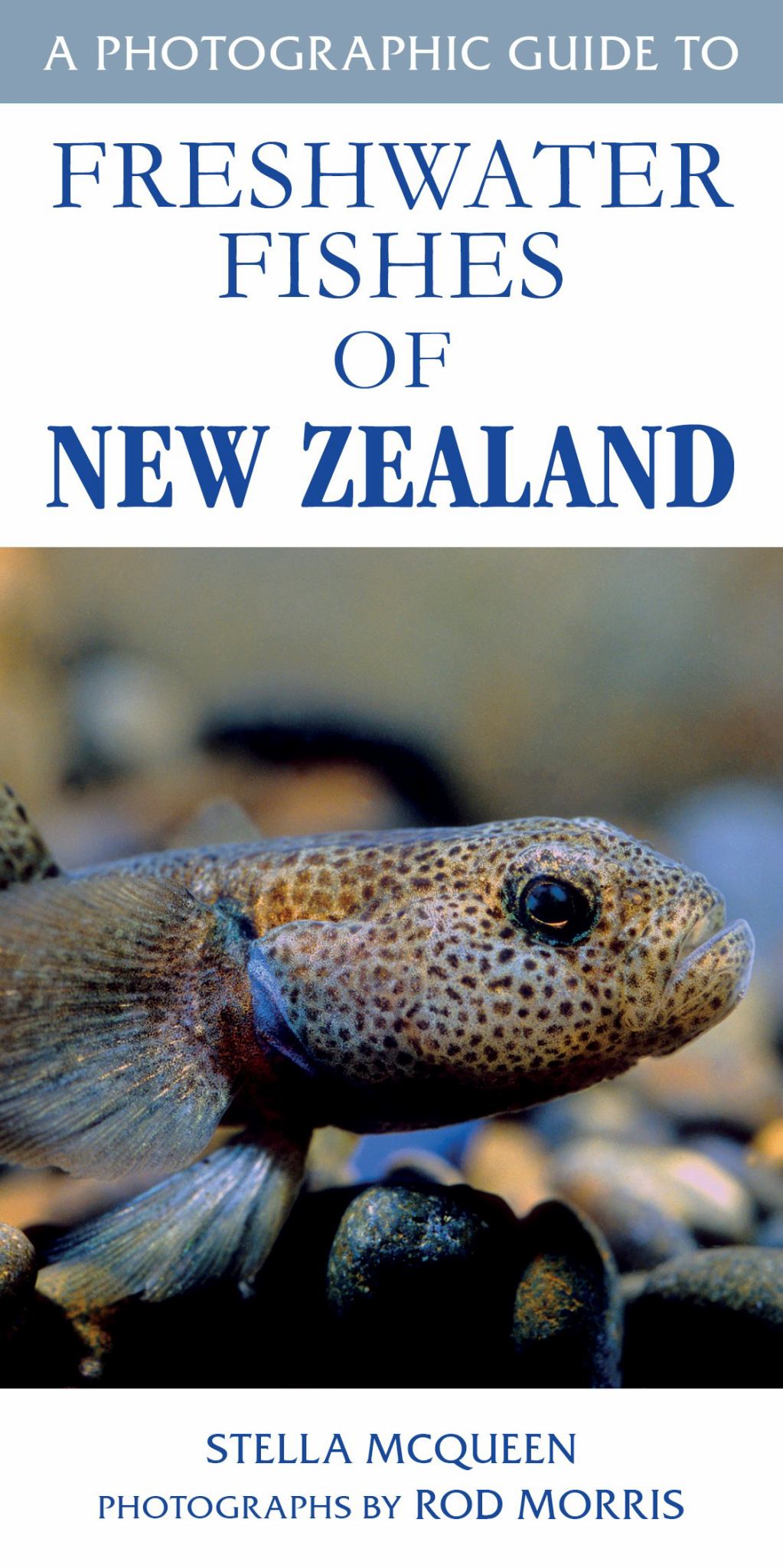 Photographic Guide to Freshwater Fish of New Zealand Cover Image