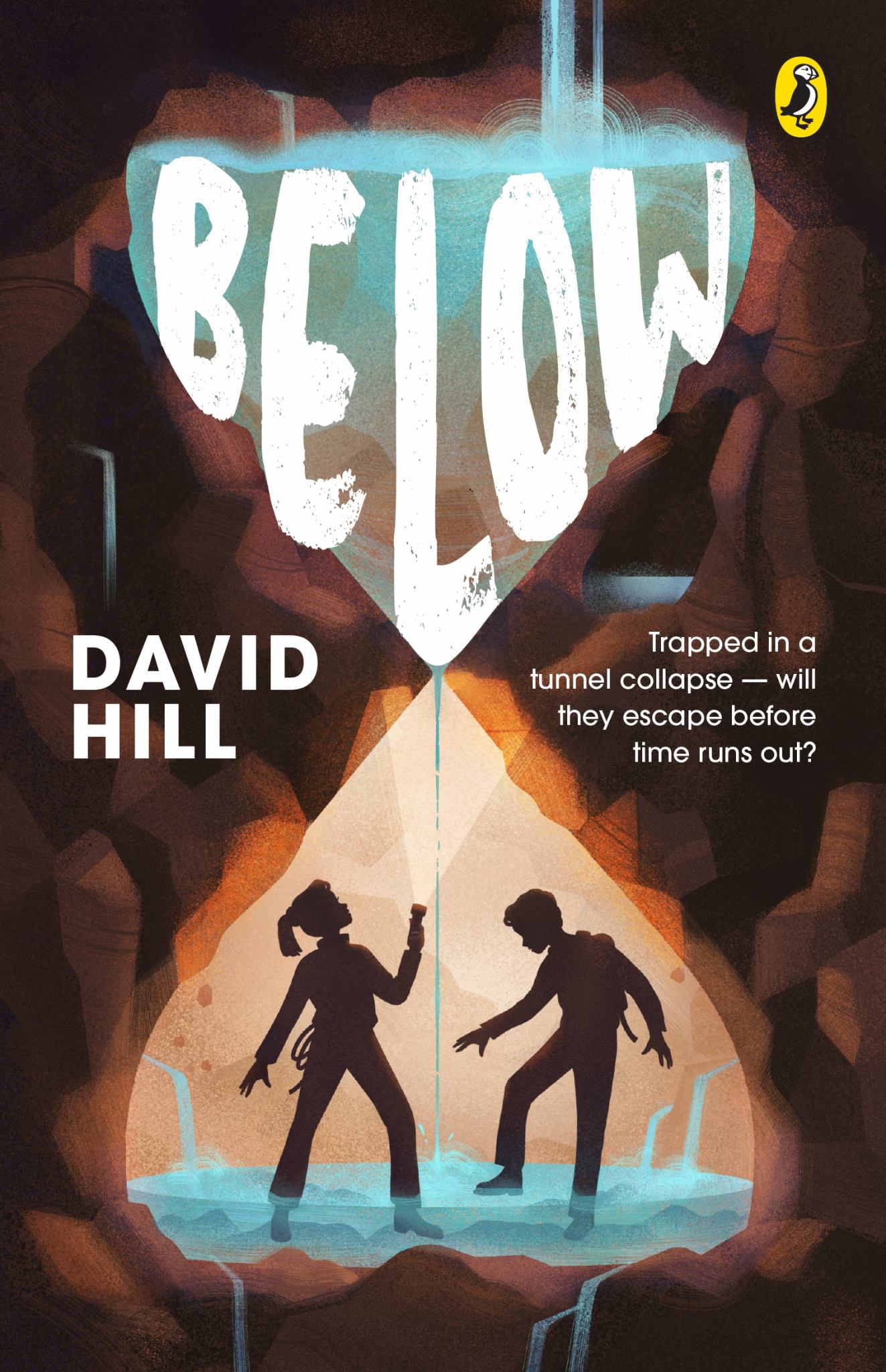 Below Cover Image