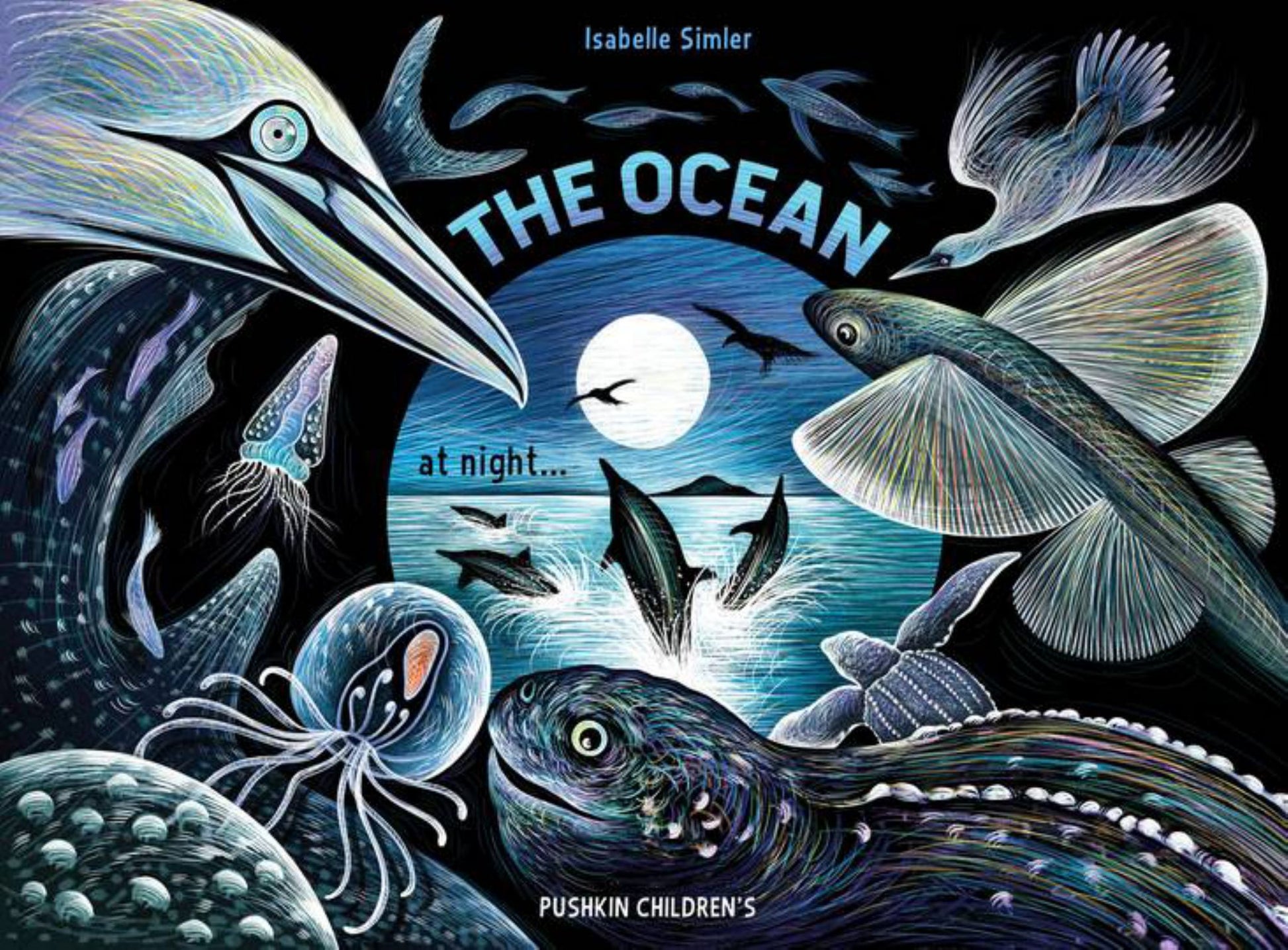 The Ocean at Night Cover Image