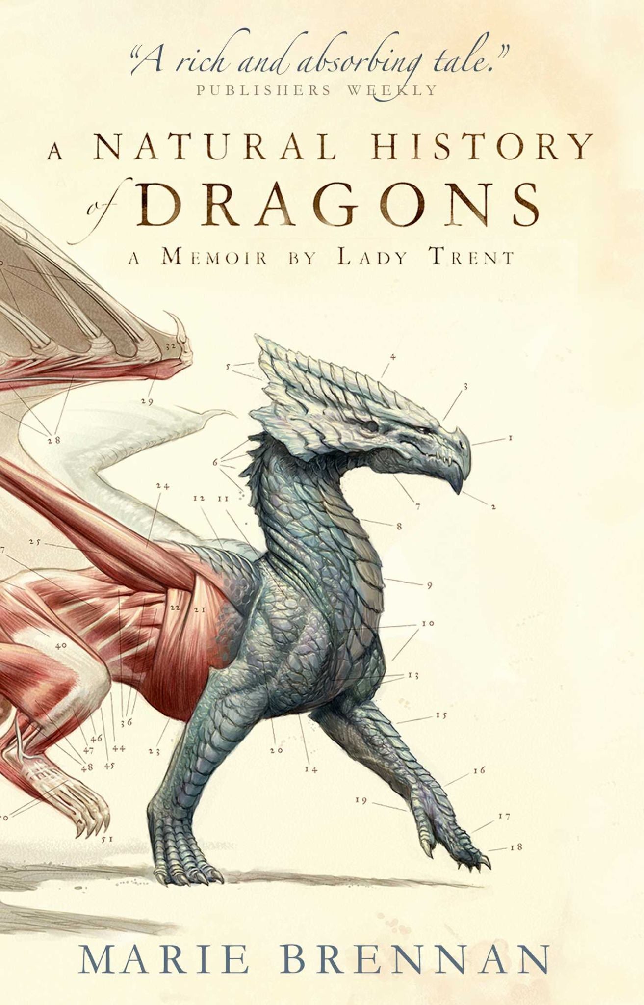 A Natural History of Dragons Cover Image