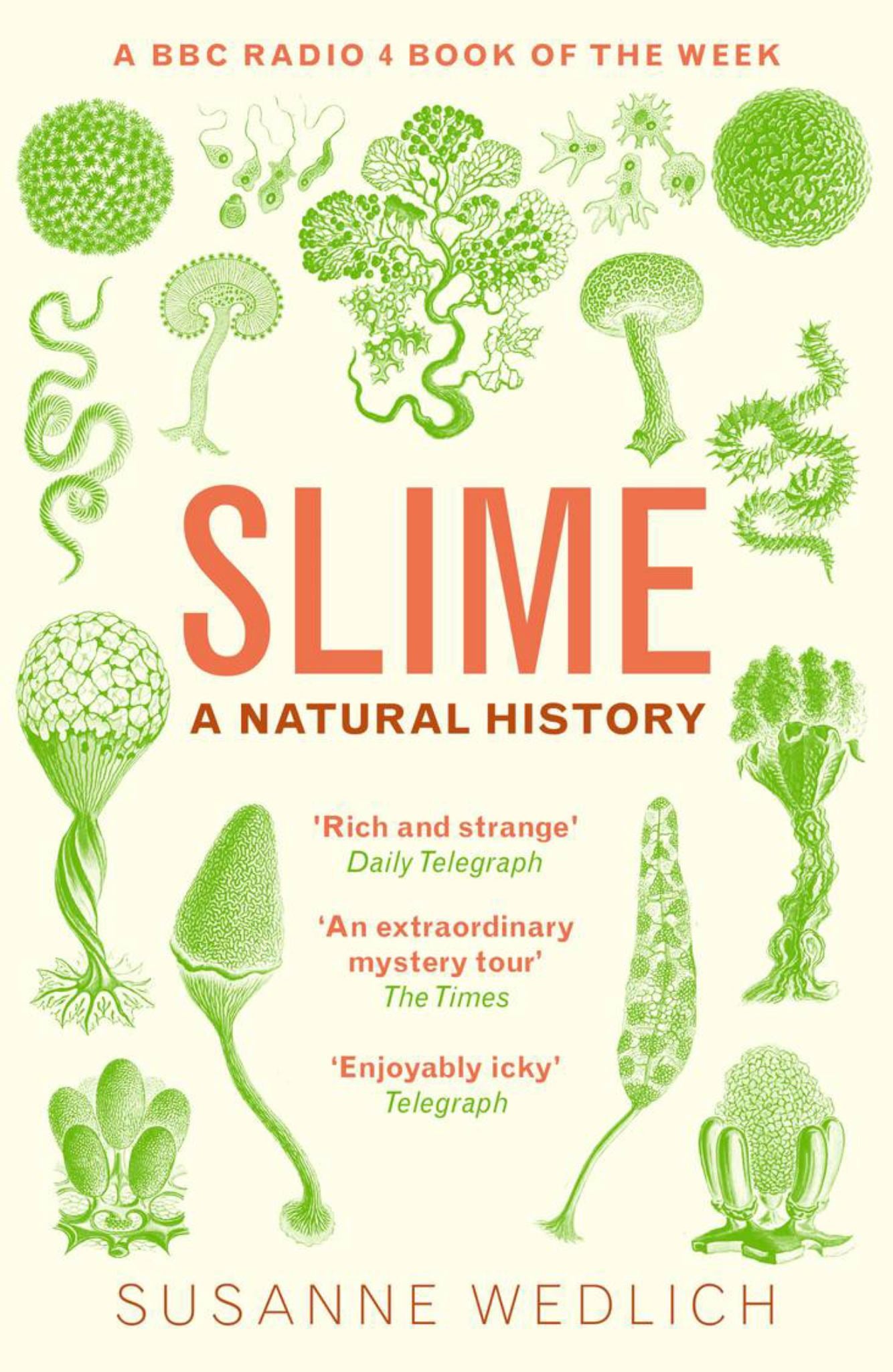 Slime Cover Image