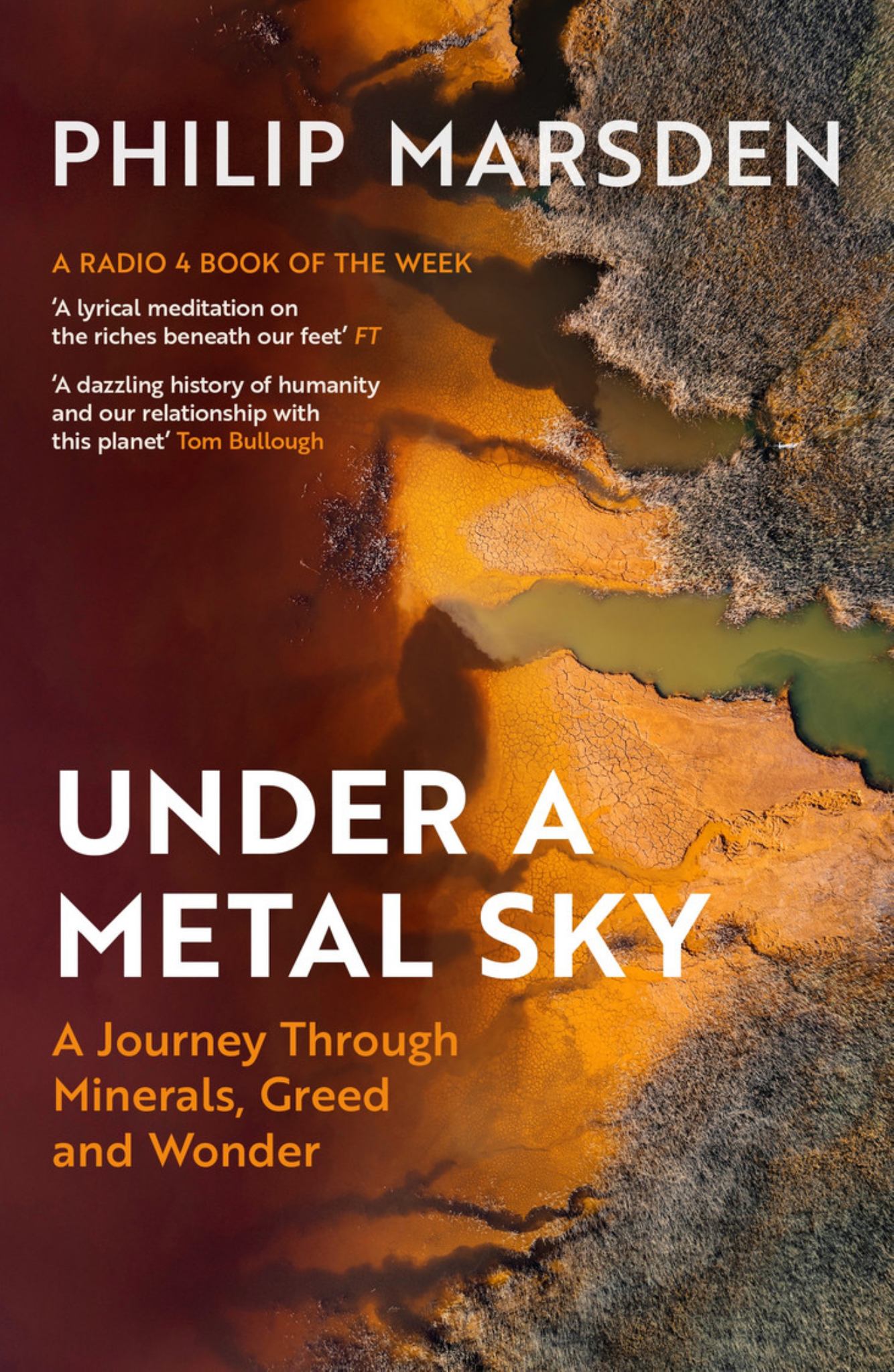 Under a Metal Sky Cover Image