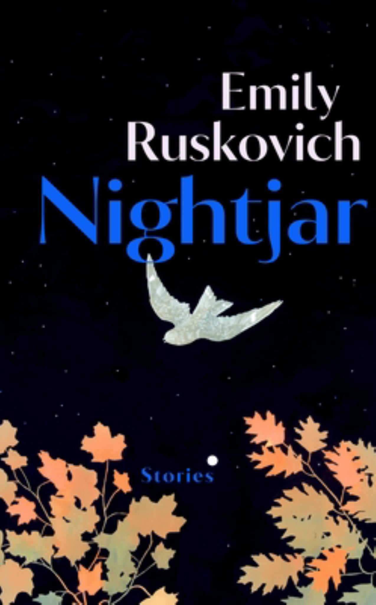 Nightjar Cover Image