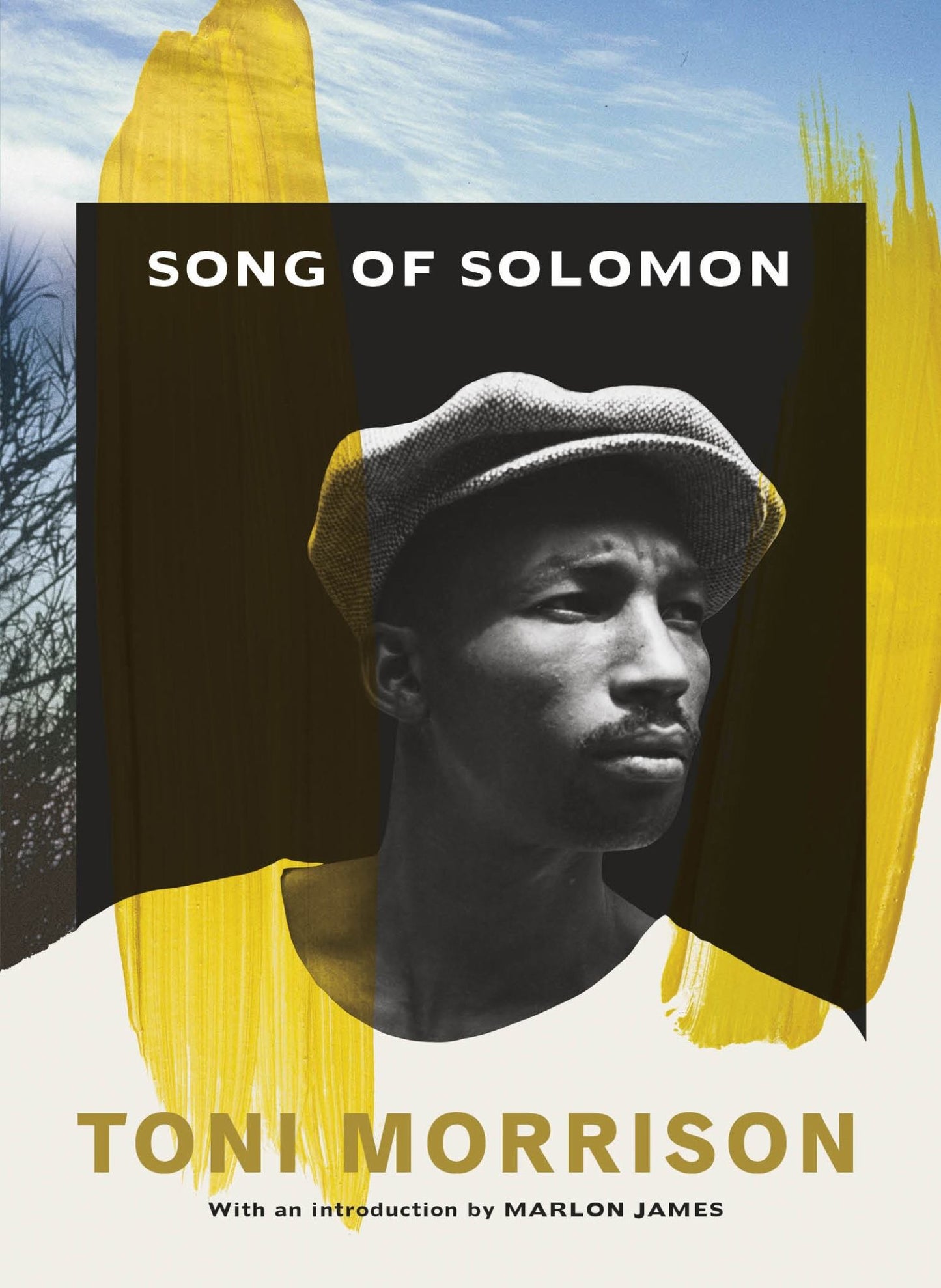 Song of Solomon Cover Image