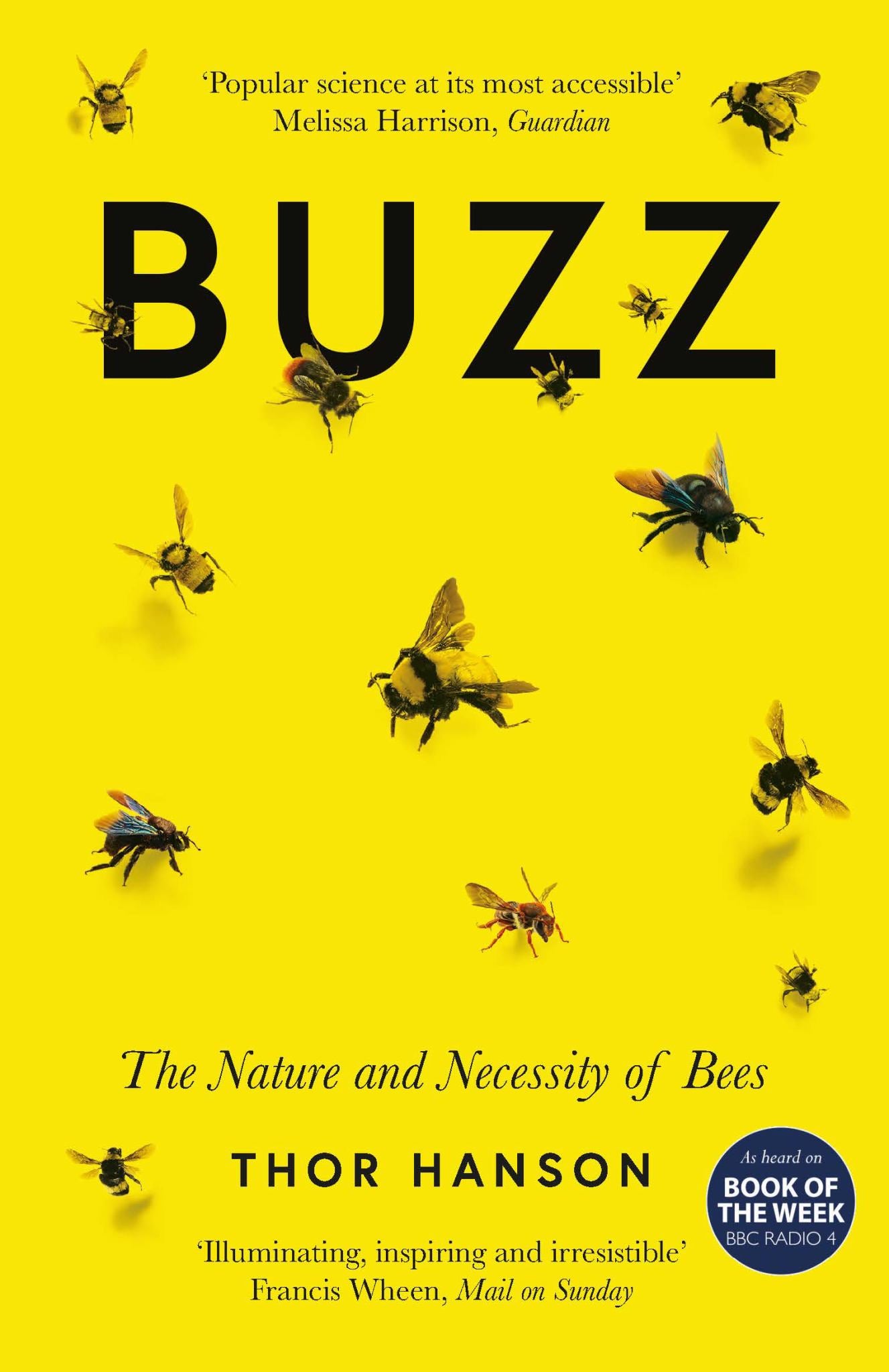 Buzz Cover Image
