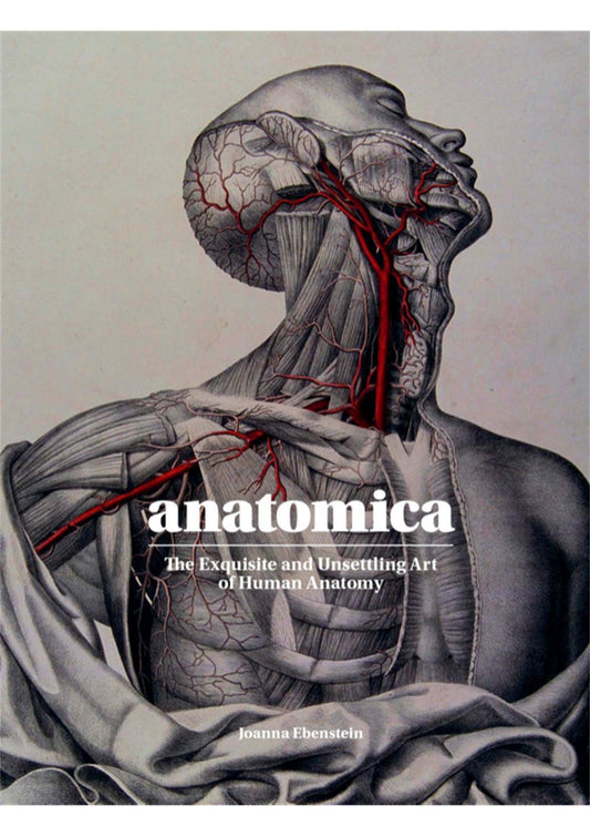 Anatomica Cover Image