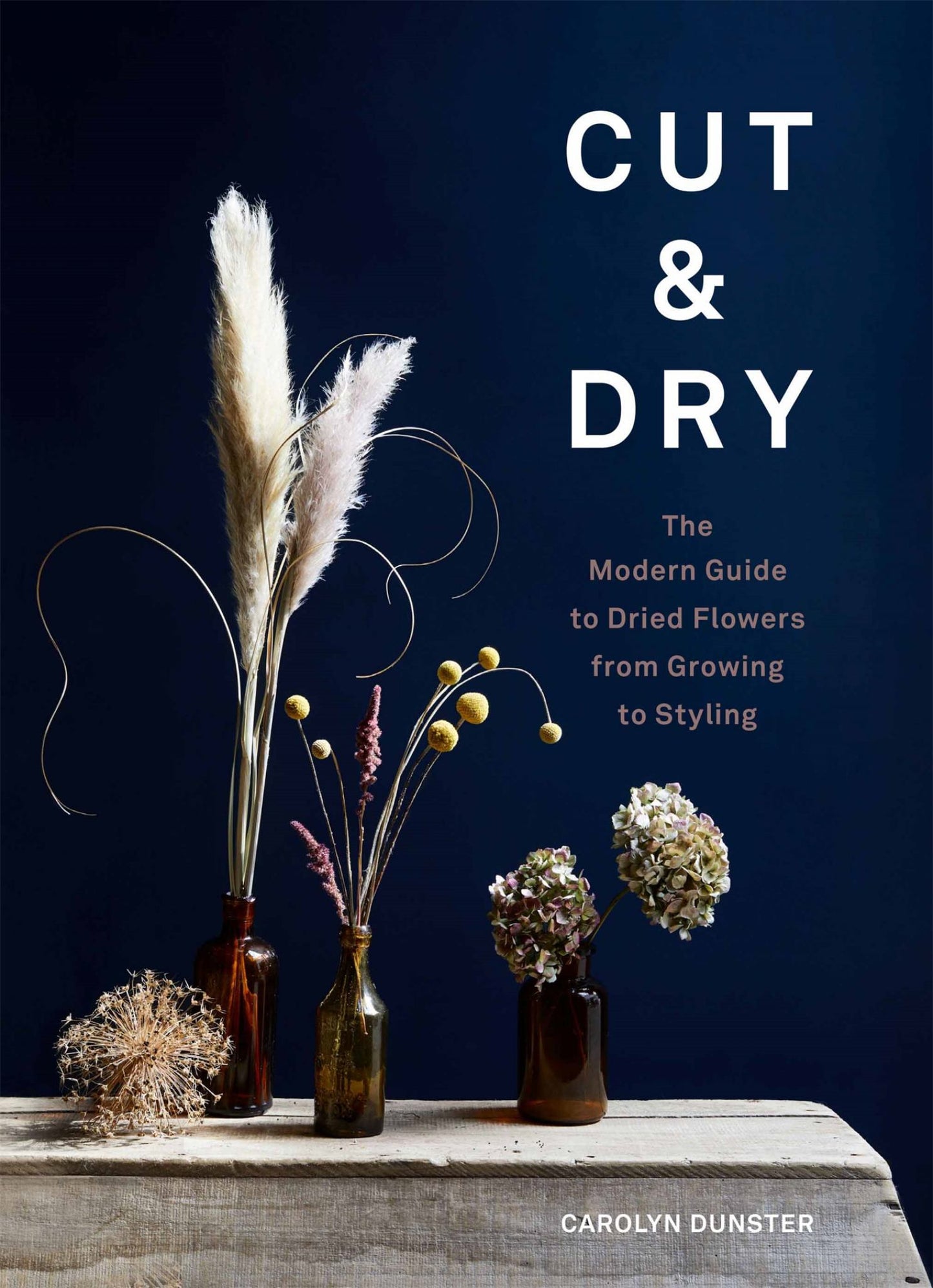 Cut and Dry Cover Image