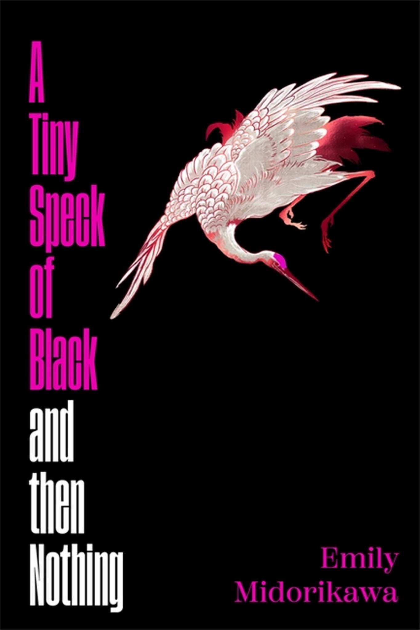 A Tiny Speck of Black and Then Nothing Cover Image