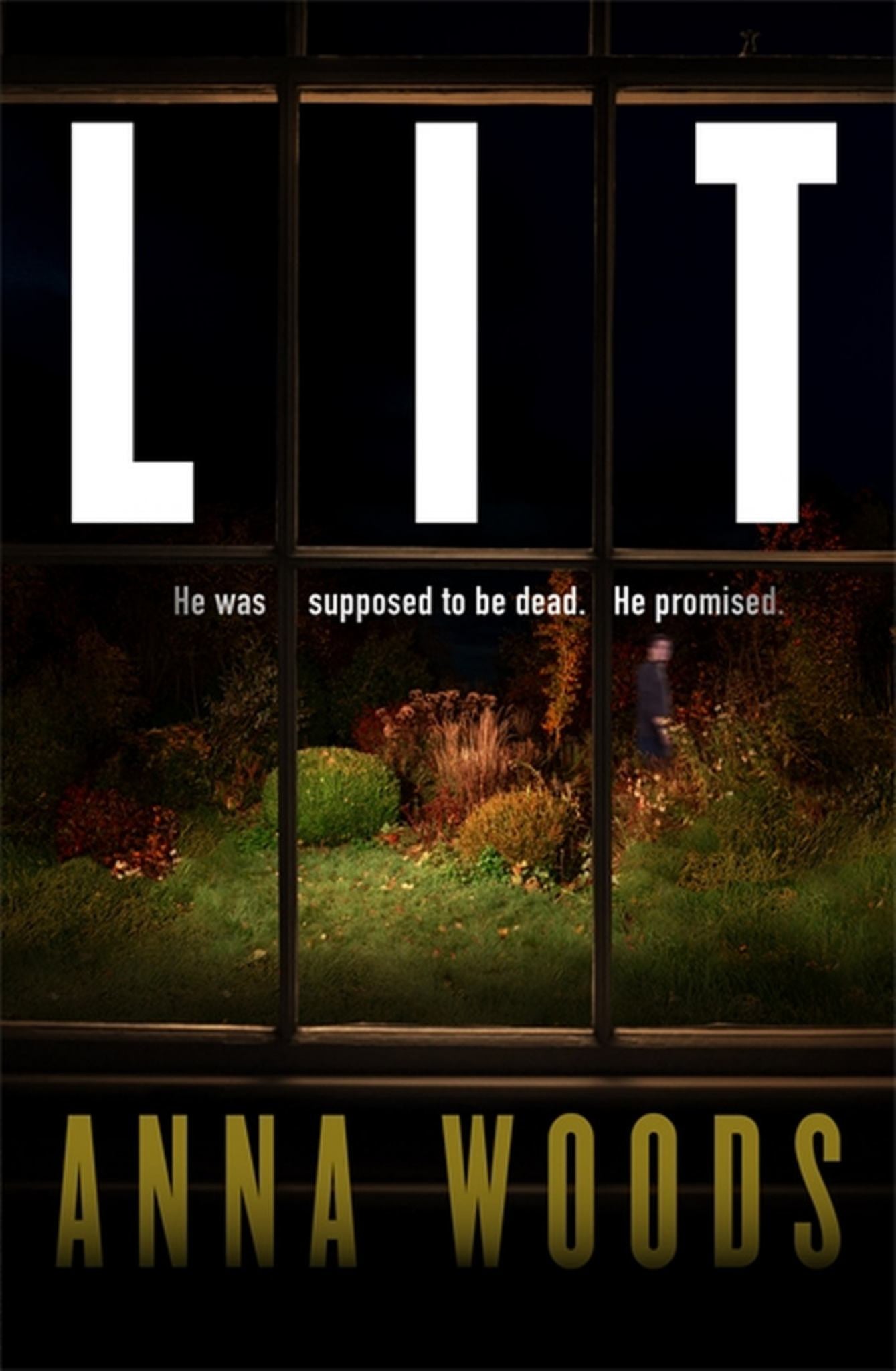 Lit Cover Image