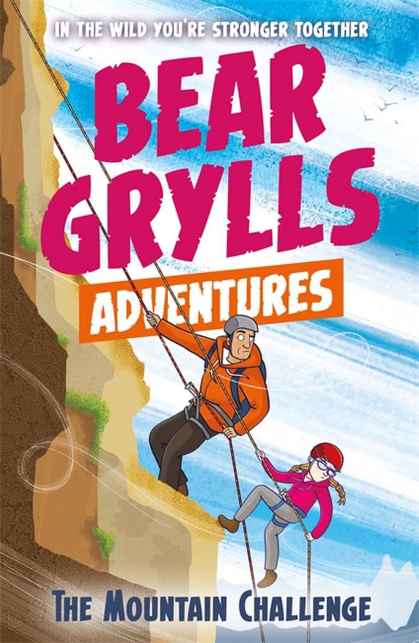 The Mountain Challenge Cover Image