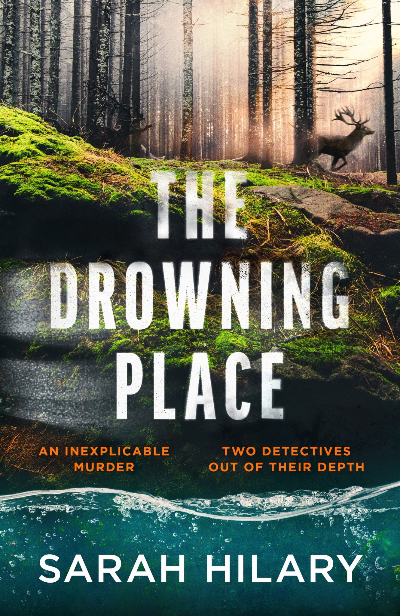 The Drowning Place Cover Image