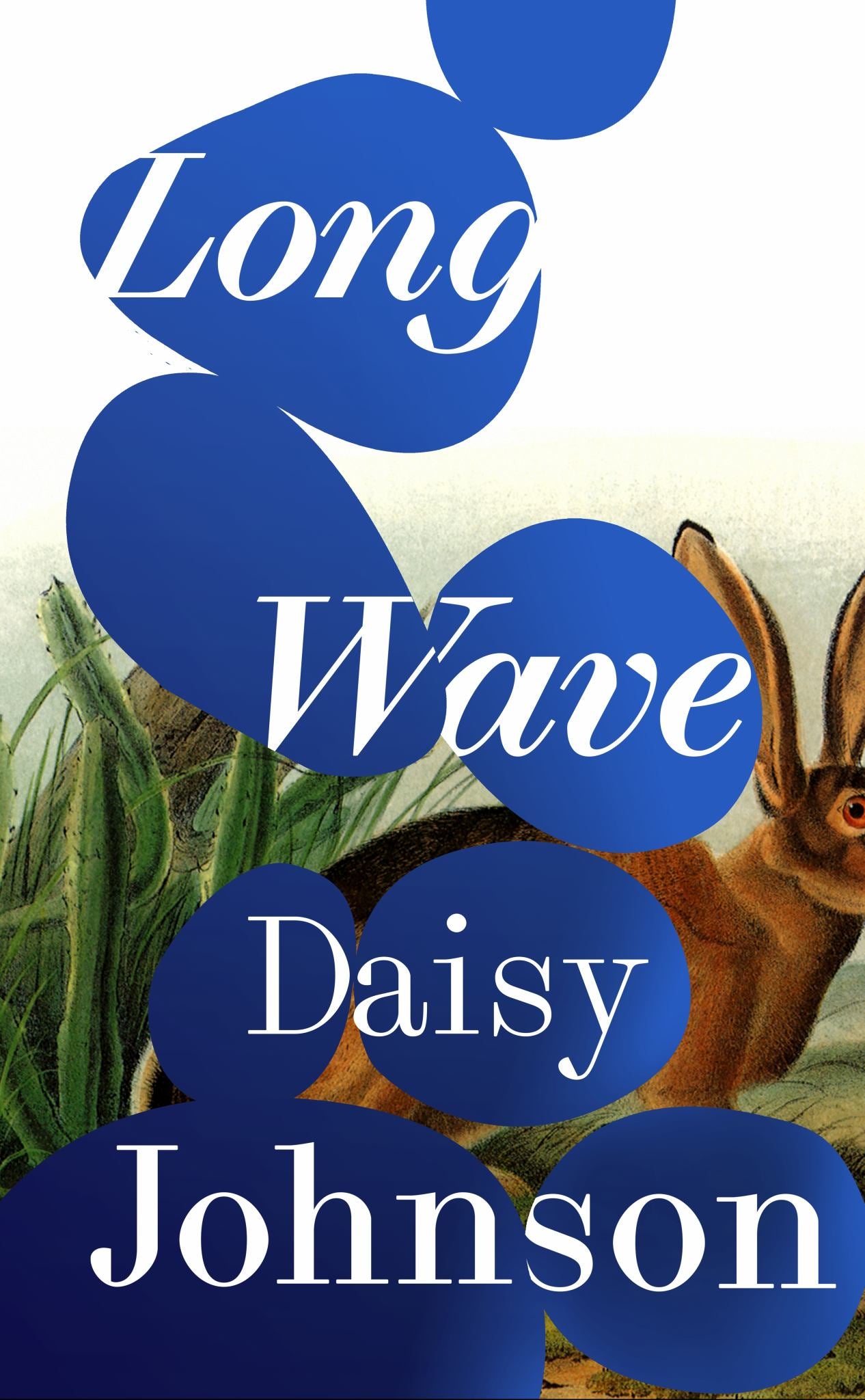 Long Wave Cover Image