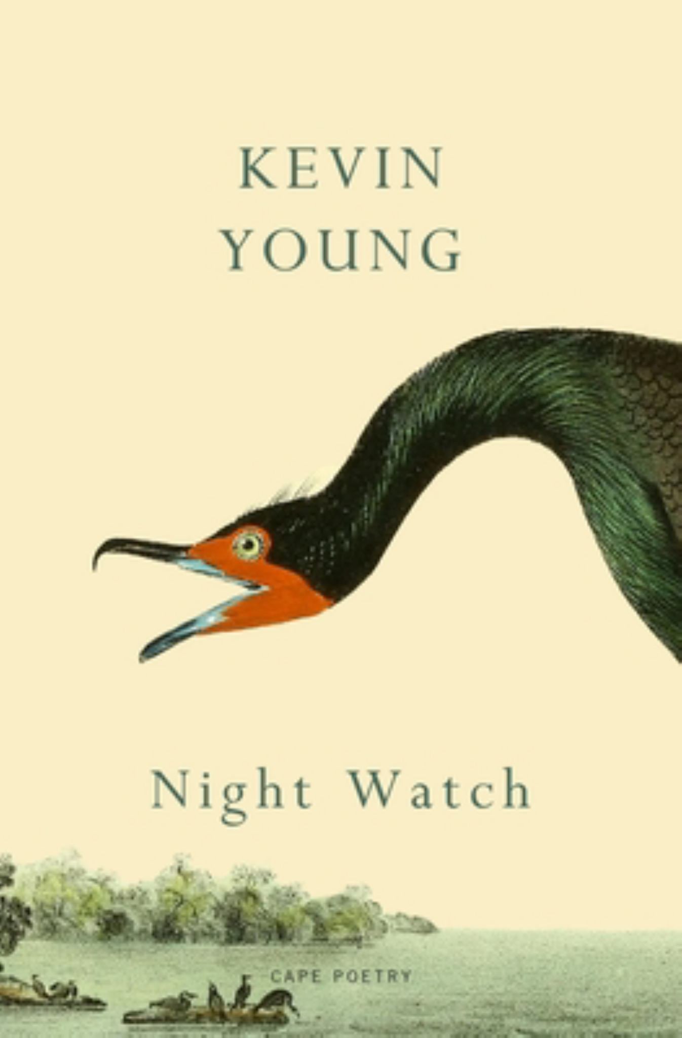 Night Watch Cover Image