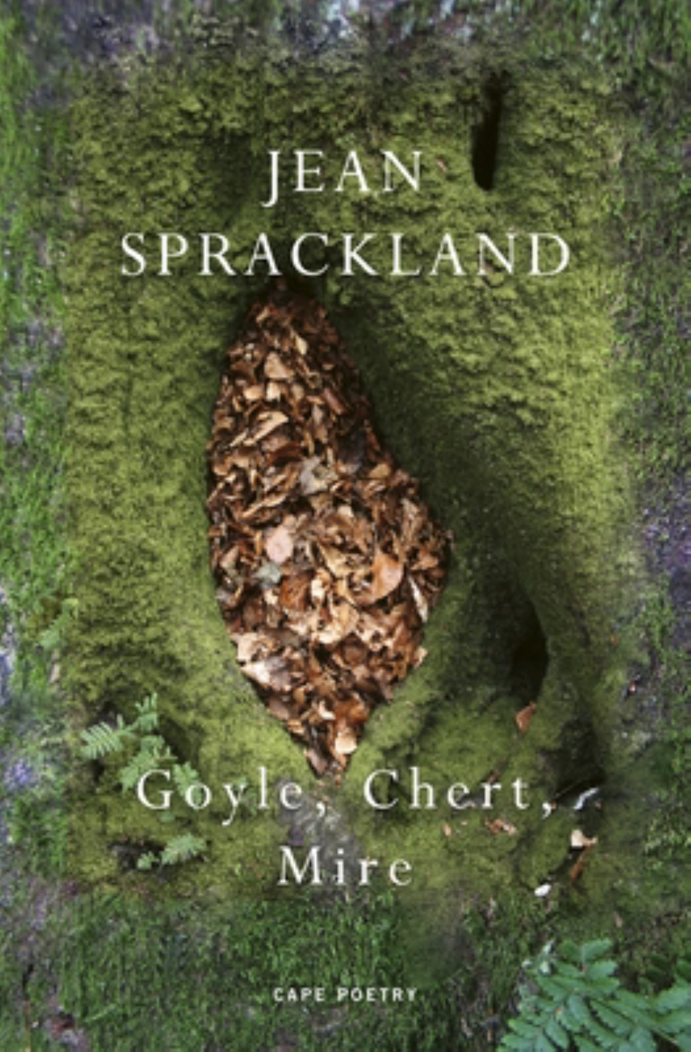 Goyle, Chert, Mire Cover Image